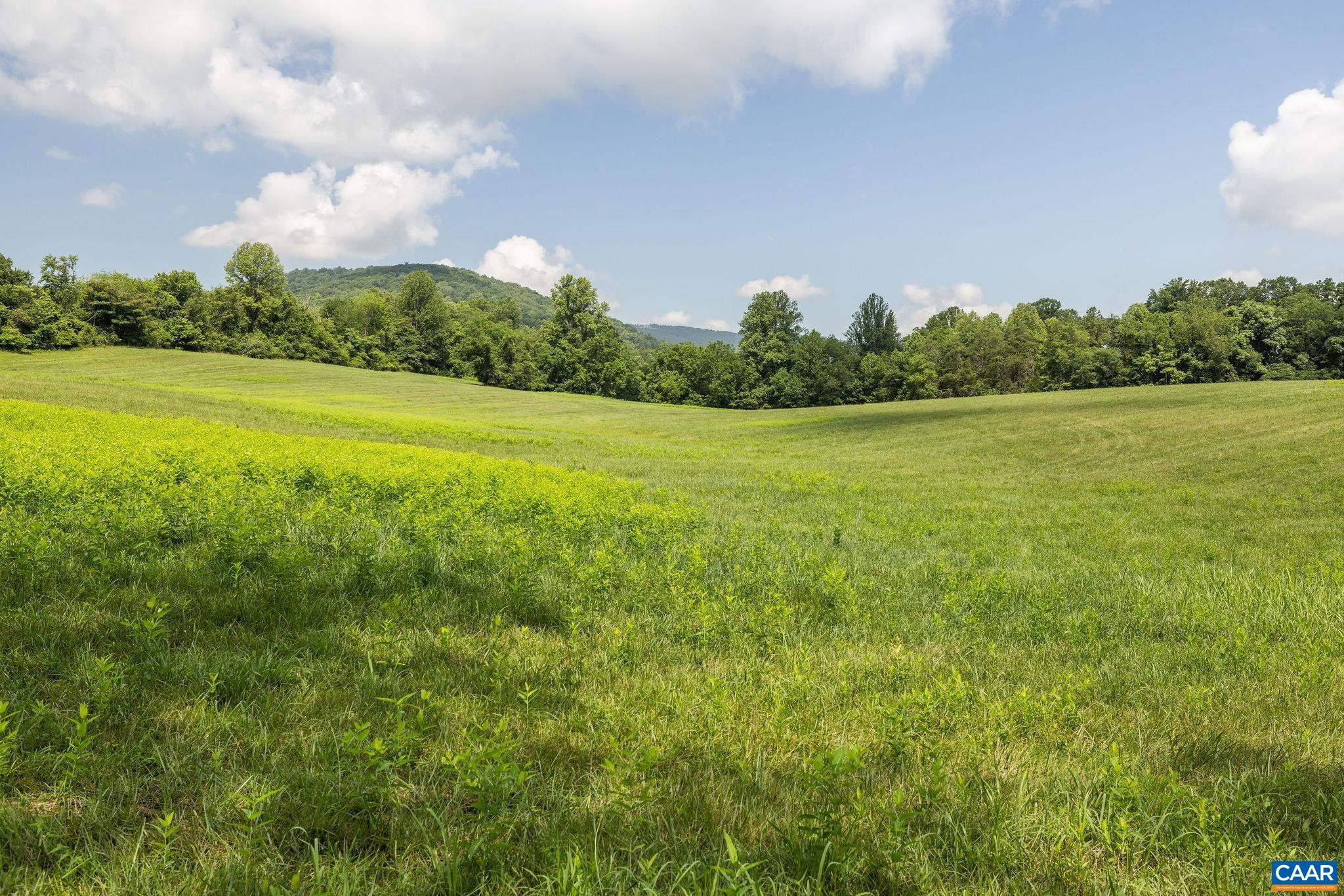 8486 ROCKFISH VALLEY HWY, AFTON, Virginia 22920, 3 Bedrooms Bedrooms, ,3 BathroomsBathrooms,Residential,8486 ROCKFISH VALLEY HWY,683462 MLS # 683462