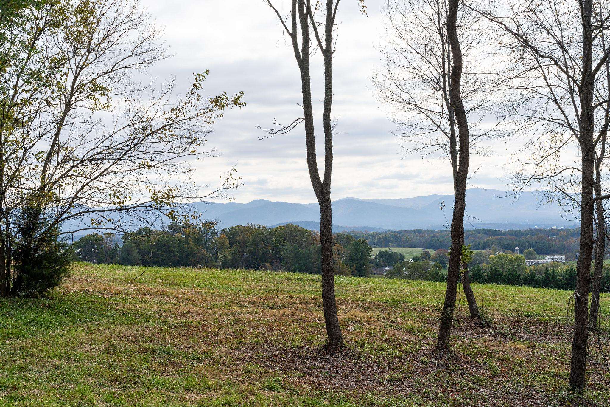 4645 PLEASANT VALLEY RD, ROCKINGHAM, Virginia 22801, 5 Bedrooms Bedrooms, ,3 BathroomsBathrooms,Residential,4645 PLEASANT VALLEY RD,683463 MLS # 683463