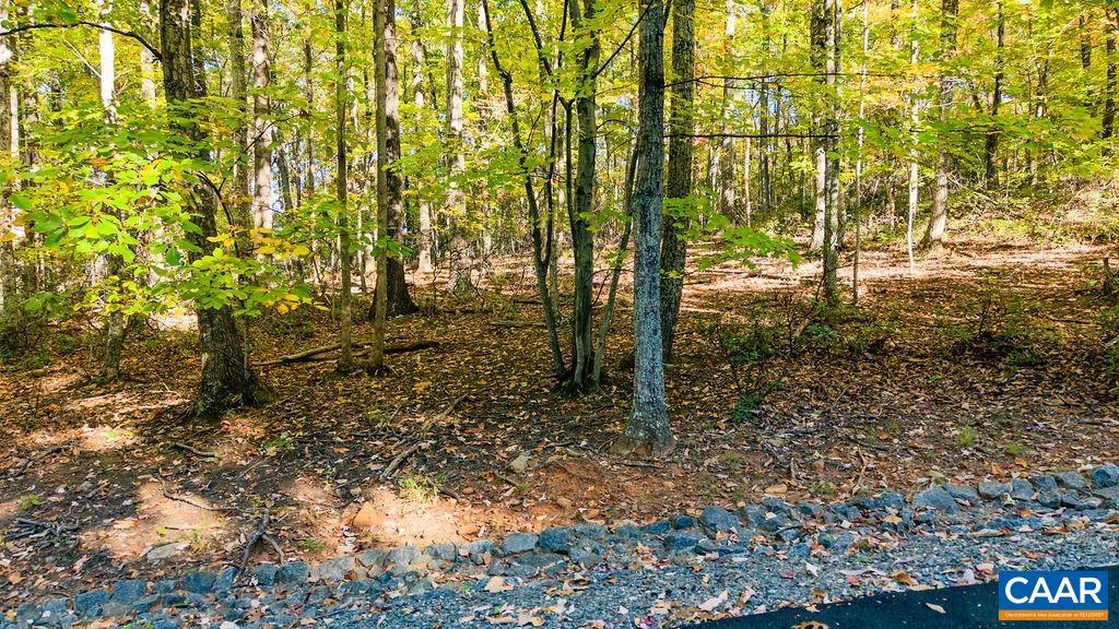 Lot 3 OAKCREST LN, NELLYSFORD, Virginia 22958, ,Land,Lot 3 OAKCREST LN,683473 MLS # 683473 Lot 3 OAKCREST LN, NELLYSFORD, Virginia 22958, ,Land,Lot 3 OAKCREST LN,683473 MLS # 683473