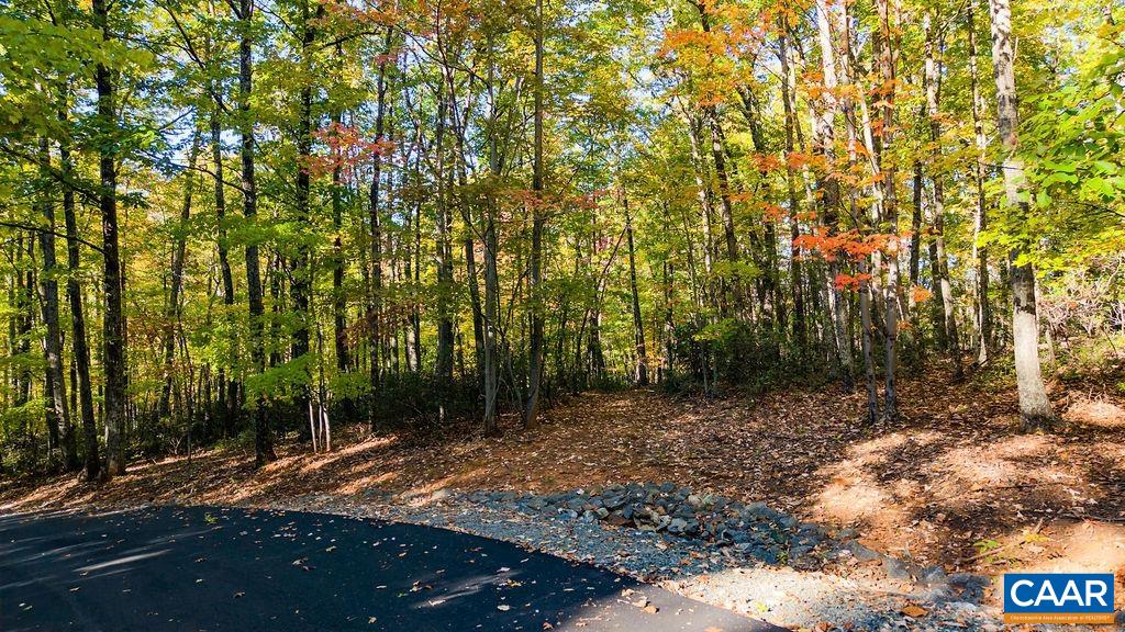 Lot 3 OAKCREST LN, NELLYSFORD, Virginia 22958, ,Land,Lot 3 OAKCREST LN,683473 MLS # 683473 Lot 3 OAKCREST LN, NELLYSFORD, Virginia 22958, ,Land,Lot 3 OAKCREST LN,683473 MLS # 683473