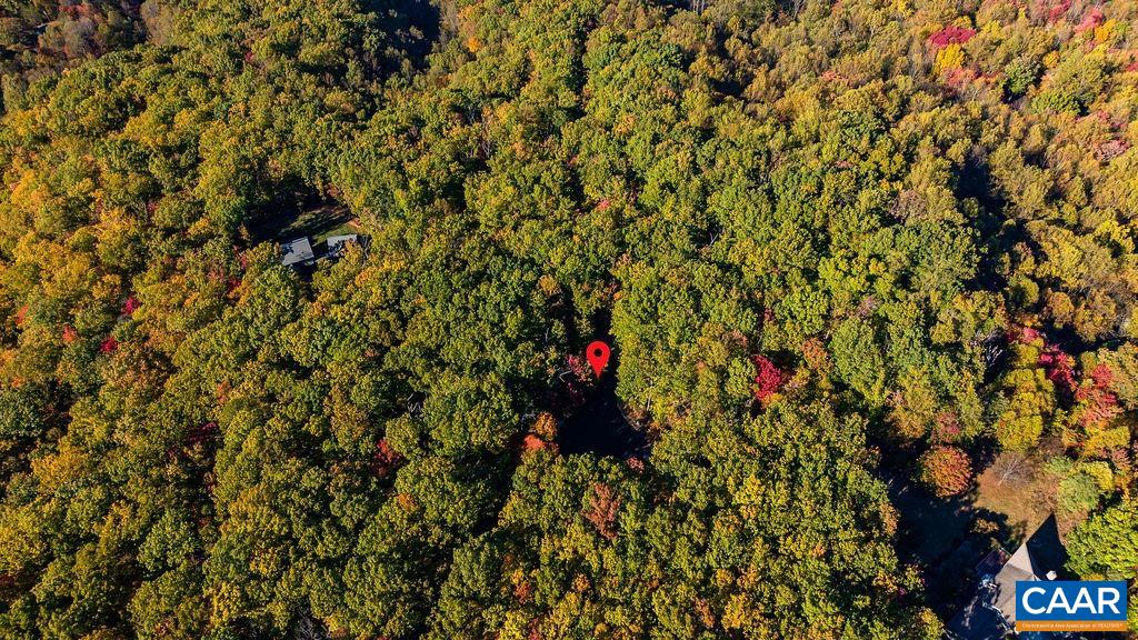 Lot 3 OAKCREST LN, NELLYSFORD, Virginia 22958, ,Land,Lot 3 OAKCREST LN,683473 MLS # 683473 Lot 3 OAKCREST LN, NELLYSFORD, Virginia 22958, ,Land,Lot 3 OAKCREST LN,683473 MLS # 683473