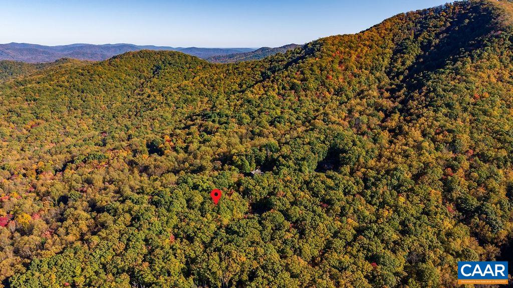 Lot 3 OAKCREST LN, NELLYSFORD, Virginia 22958, ,Land,Lot 3 OAKCREST LN,683473 MLS # 683473 Lot 3 OAKCREST LN, NELLYSFORD, Virginia 22958, ,Land,Lot 3 OAKCREST LN,683473 MLS # 683473