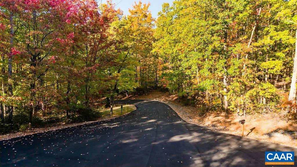 Lot 3 OAKCREST LN, NELLYSFORD, Virginia 22958, ,Land,Lot 3 OAKCREST LN,683473 MLS # 683473 Lot 3 OAKCREST LN, NELLYSFORD, Virginia 22958, ,Land,Lot 3 OAKCREST LN,683473 MLS # 683473