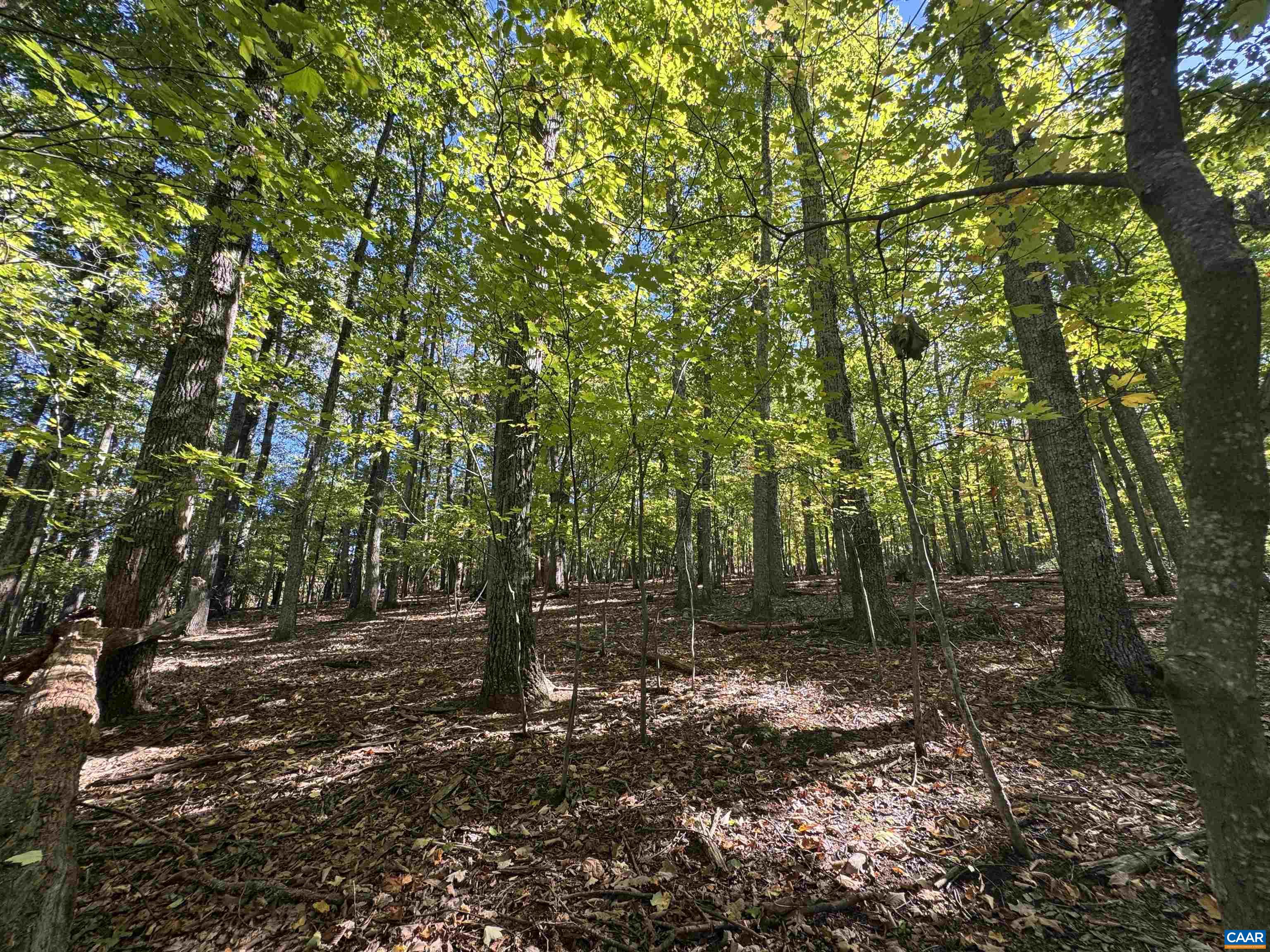 Lot 3 OAKCREST LN, NELLYSFORD, Virginia 22958, ,Land,Lot 3 OAKCREST LN,683473 MLS # 683473 Lot 3 OAKCREST LN, NELLYSFORD, Virginia 22958, ,Land,Lot 3 OAKCREST LN,683473 MLS # 683473