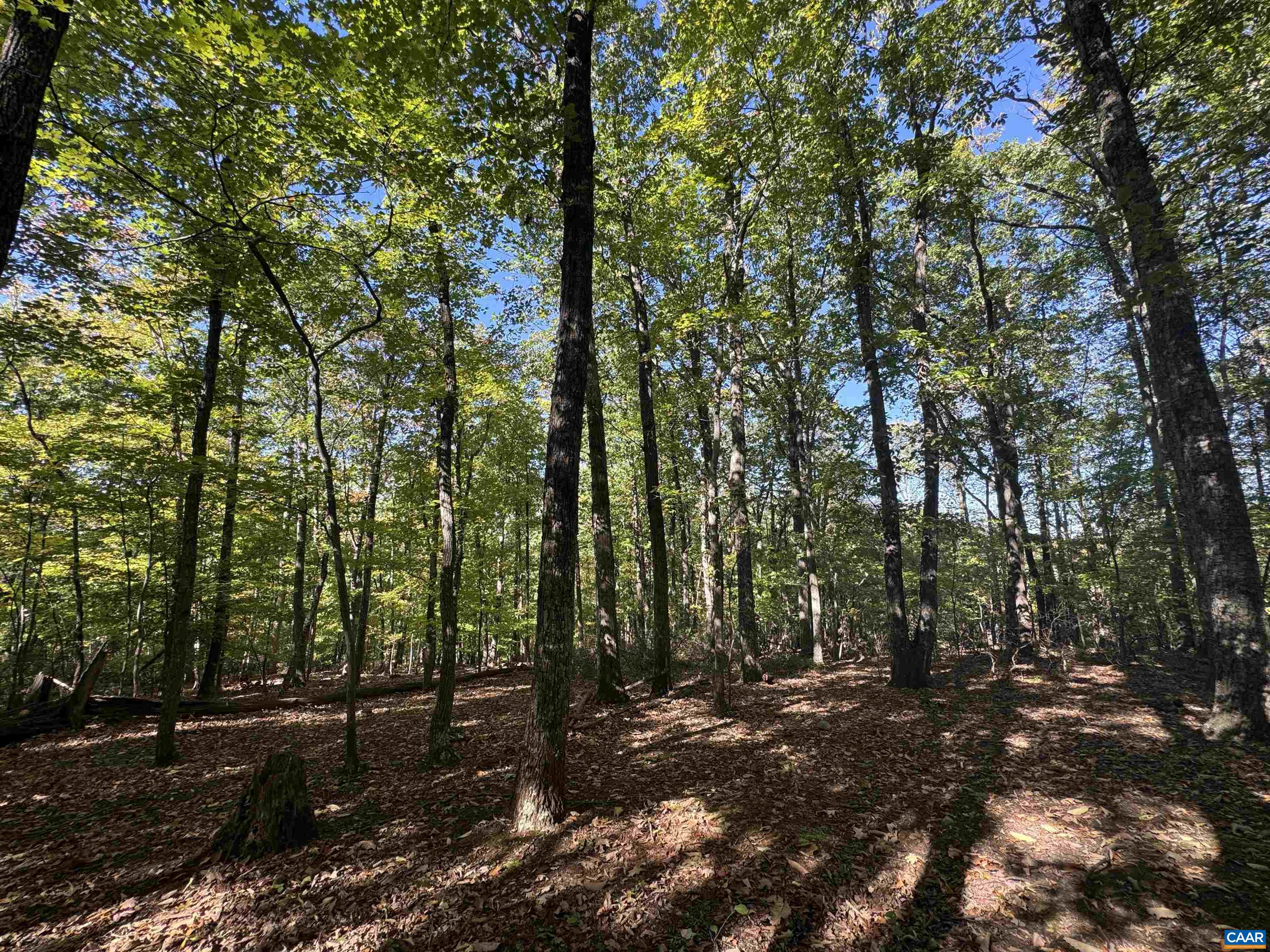 Lot 3 OAKCREST LN, NELLYSFORD, Virginia 22958, ,Land,Lot 3 OAKCREST LN,683473 MLS # 683473 Lot 3 OAKCREST LN, NELLYSFORD, Virginia 22958, ,Land,Lot 3 OAKCREST LN,683473 MLS # 683473