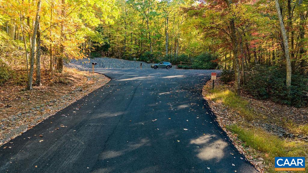 Lot 3 OAKCREST LN, NELLYSFORD, Virginia 22958, ,Land,Lot 3 OAKCREST LN,683473 MLS # 683473 Lot 3 OAKCREST LN, NELLYSFORD, Virginia 22958, ,Land,Lot 3 OAKCREST LN,683473 MLS # 683473