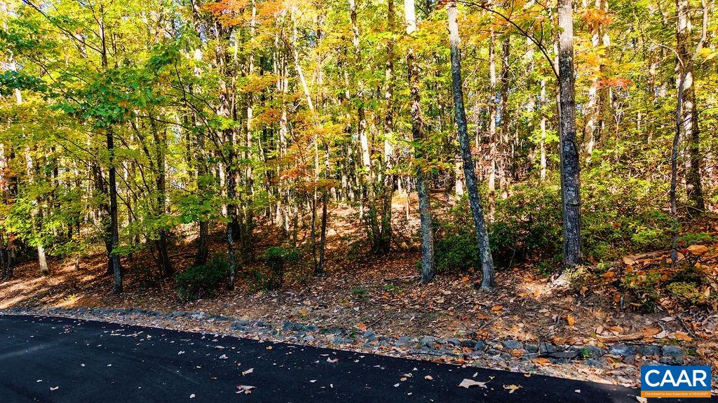 Lot 3 OAKCREST LN, NELLYSFORD, Virginia 22958, ,Land,Lot 3 OAKCREST LN,683473 MLS # 683473 Lot 3 OAKCREST LN, NELLYSFORD, Virginia 22958, ,Land,Lot 3 OAKCREST LN,683473 MLS # 683473