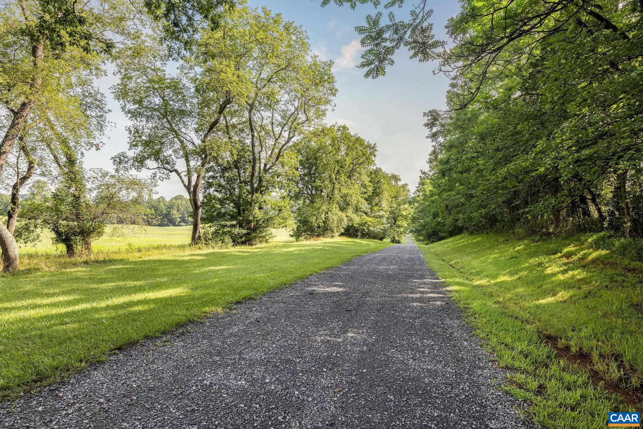 158 acres ROCKFISH VALLEY HWY, AFTON, Virginia 22920, ,Farm,158 acres ROCKFISH VALLEY HWY,683488 MLS # 683488 158 acres ROCKFISH VALLEY HWY, AFTON, Virginia 22920, ,Farm,158 acres ROCKFISH VALLEY HWY,683488 MLS # 683488