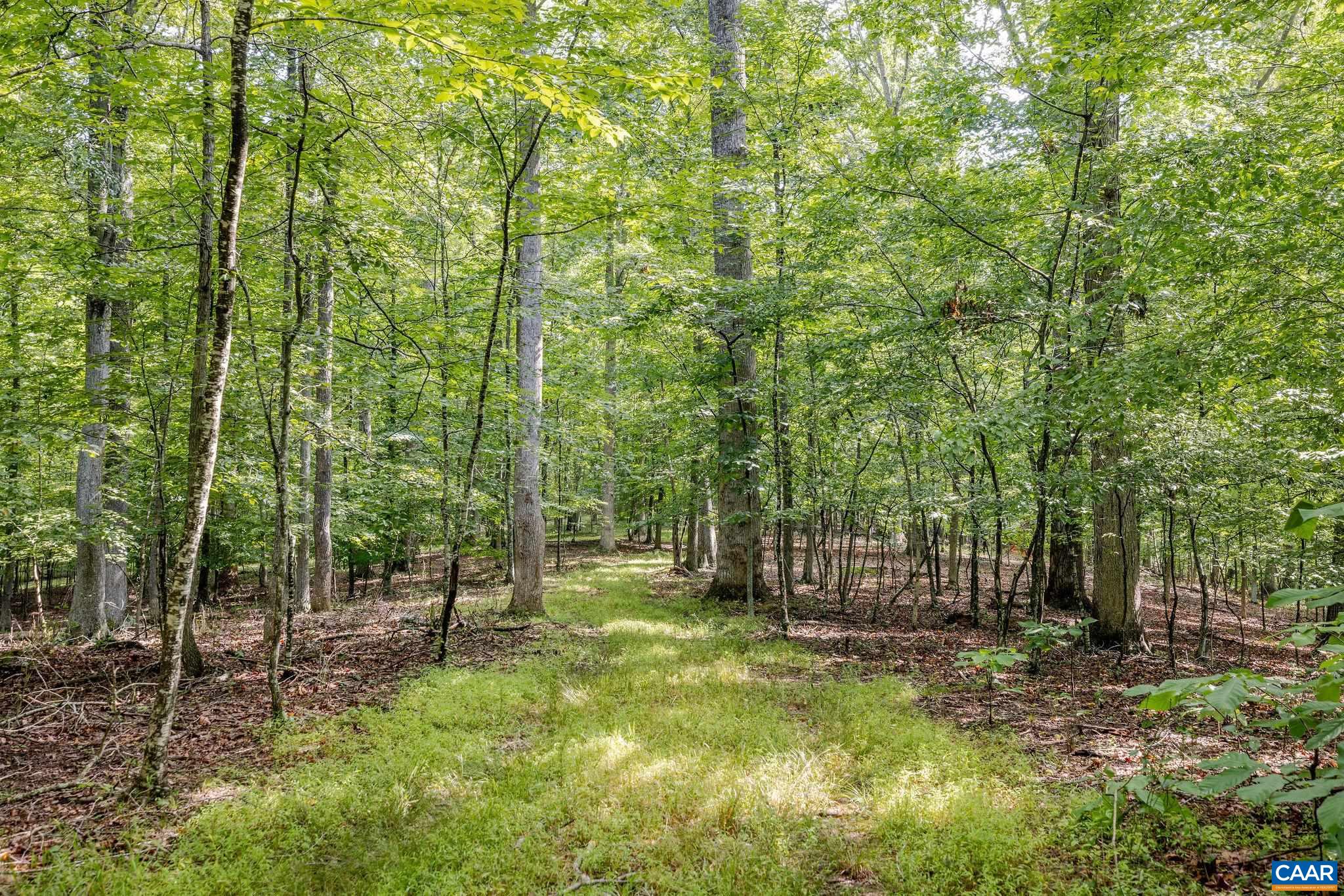158 acres ROCKFISH VALLEY HWY, AFTON, Virginia 22920, ,Farm,158 acres ROCKFISH VALLEY HWY,683488 MLS # 683488 158 acres ROCKFISH VALLEY HWY, AFTON, Virginia 22920, ,Farm,158 acres ROCKFISH VALLEY HWY,683488 MLS # 683488