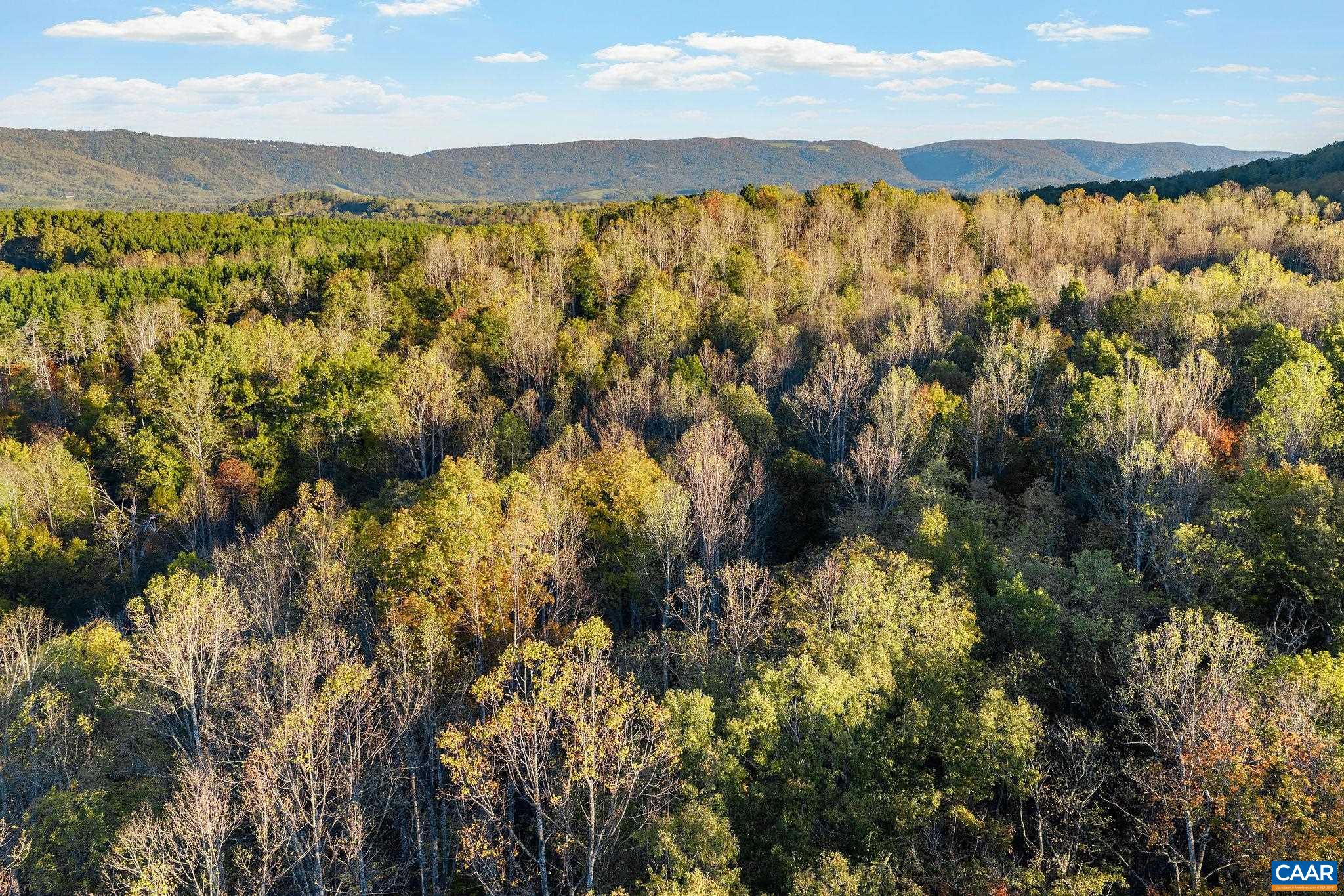 158 acres ROCKFISH VALLEY HWY, AFTON, Virginia 22920, ,Farm,158 acres ROCKFISH VALLEY HWY,683488 MLS # 683488 158 acres ROCKFISH VALLEY HWY, AFTON, Virginia 22920, ,Farm,158 acres ROCKFISH VALLEY HWY,683488 MLS # 683488