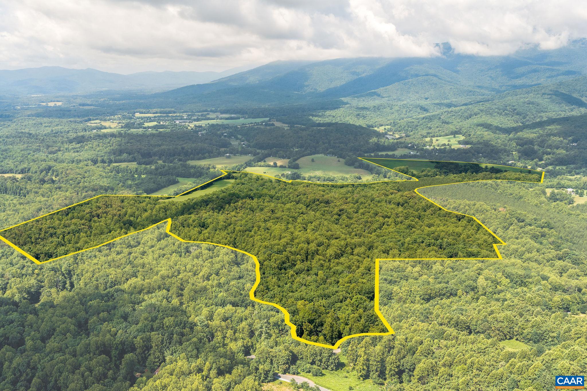 158 acres ROCKFISH VALLEY HWY, AFTON, Virginia 22920, ,Farm,158 acres ROCKFISH VALLEY HWY,683488 MLS # 683488 158 acres ROCKFISH VALLEY HWY, AFTON, Virginia 22920, ,Farm,158 acres ROCKFISH VALLEY HWY,683488 MLS # 683488