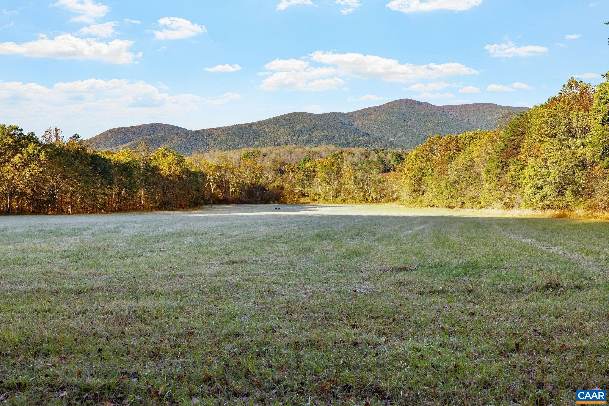 158 acres ROCKFISH VALLEY HWY, AFTON, Virginia 22920, ,Farm,158 acres ROCKFISH VALLEY HWY,683488 MLS # 683488 158 acres ROCKFISH VALLEY HWY, AFTON, Virginia 22920, ,Farm,158 acres ROCKFISH VALLEY HWY,683488 MLS # 683488