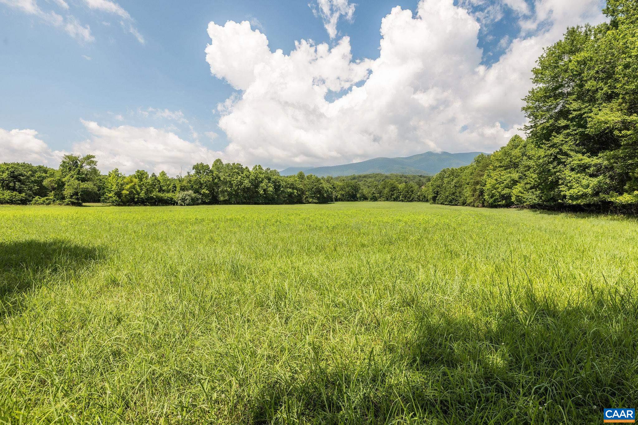 158 acres ROCKFISH VALLEY HWY, AFTON, Virginia 22920, ,Farm,158 acres ROCKFISH VALLEY HWY,683488 MLS # 683488 158 acres ROCKFISH VALLEY HWY, AFTON, Virginia 22920, ,Farm,158 acres ROCKFISH VALLEY HWY,683488 MLS # 683488