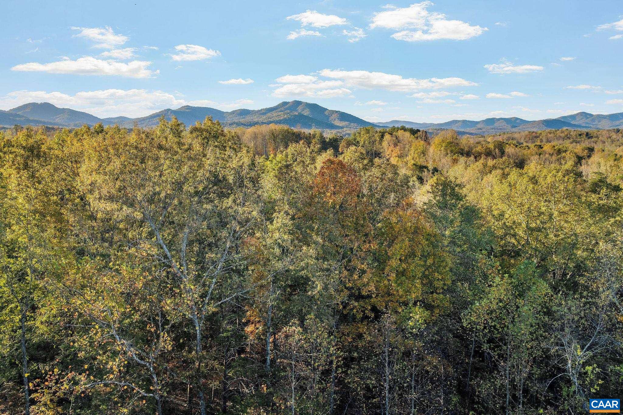 158 acres ROCKFISH VALLEY HWY, AFTON, Virginia 22920, ,Farm,158 acres ROCKFISH VALLEY HWY,683488 MLS # 683488 158 acres ROCKFISH VALLEY HWY, AFTON, Virginia 22920, ,Farm,158 acres ROCKFISH VALLEY HWY,683488 MLS # 683488