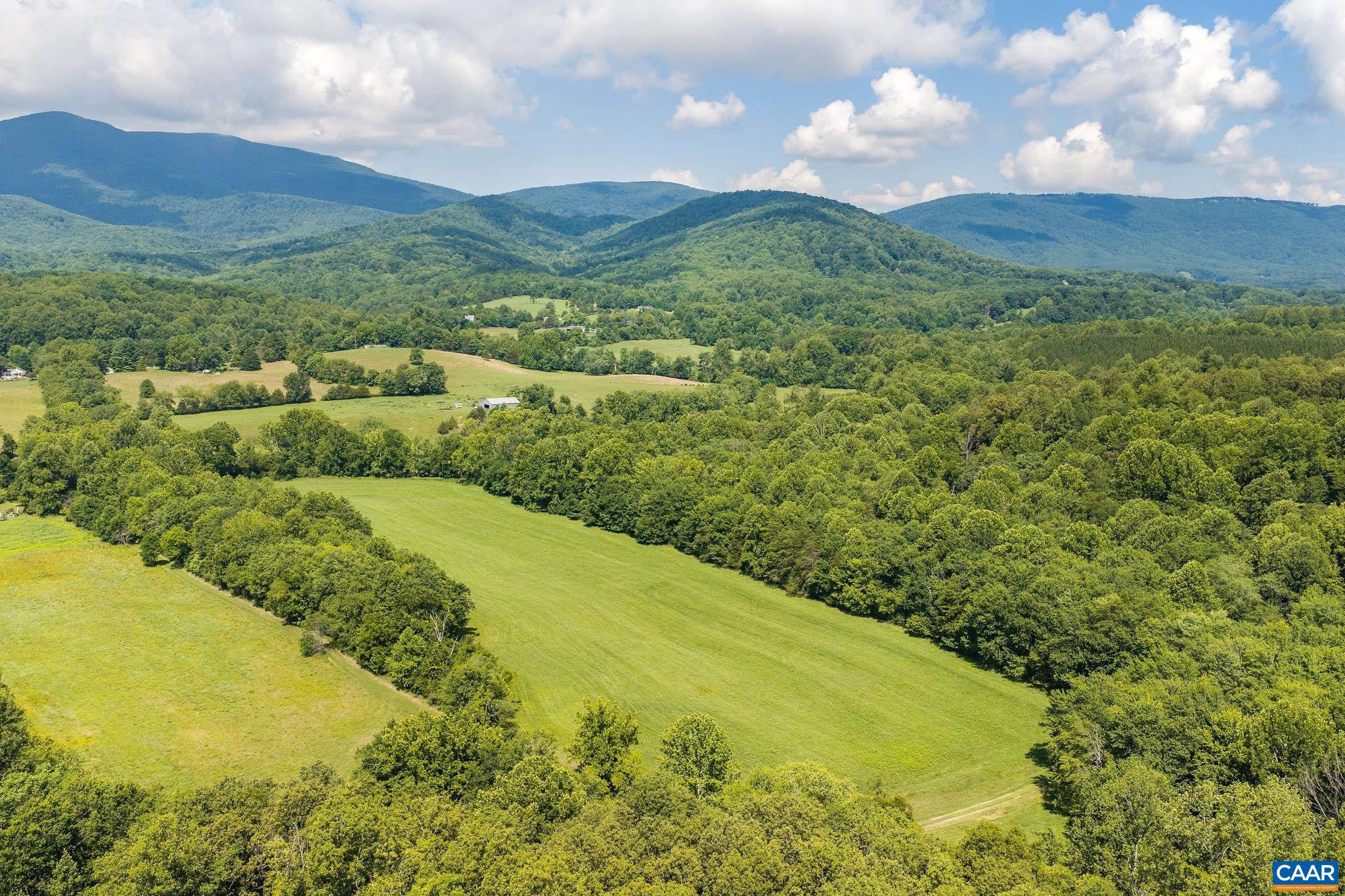 158 acres ROCKFISH VALLEY HWY, AFTON, Virginia 22920, ,Farm,158 acres ROCKFISH VALLEY HWY,683488 MLS # 683488 158 acres ROCKFISH VALLEY HWY, AFTON, Virginia 22920, ,Farm,158 acres ROCKFISH VALLEY HWY,683488 MLS # 683488