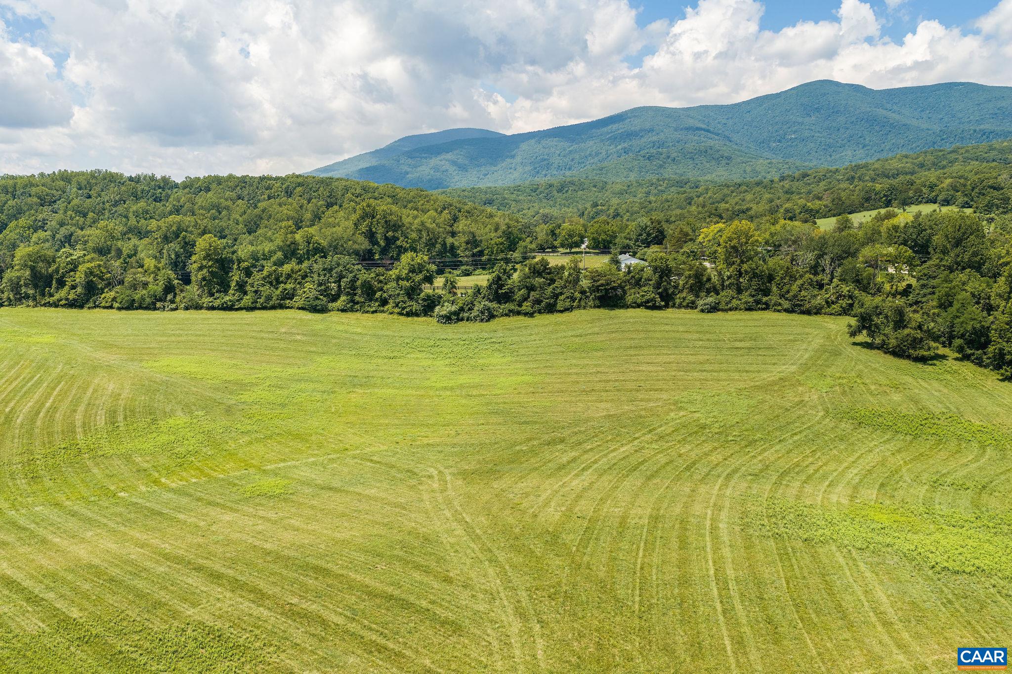 158 acres ROCKFISH VALLEY HWY, AFTON, Virginia 22920, ,Farm,158 acres ROCKFISH VALLEY HWY,683488 MLS # 683488 158 acres ROCKFISH VALLEY HWY, AFTON, Virginia 22920, ,Farm,158 acres ROCKFISH VALLEY HWY,683488 MLS # 683488