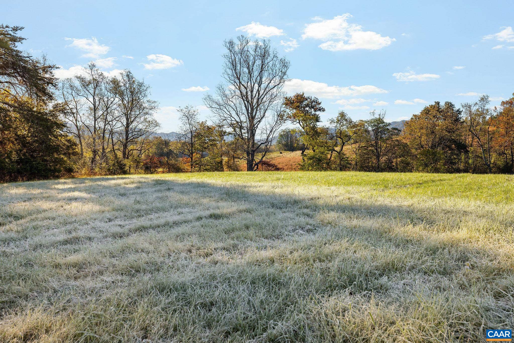 158 acres ROCKFISH VALLEY HWY, AFTON, Virginia 22920, ,Farm,158 acres ROCKFISH VALLEY HWY,683488 MLS # 683488 158 acres ROCKFISH VALLEY HWY, AFTON, Virginia 22920, ,Farm,158 acres ROCKFISH VALLEY HWY,683488 MLS # 683488