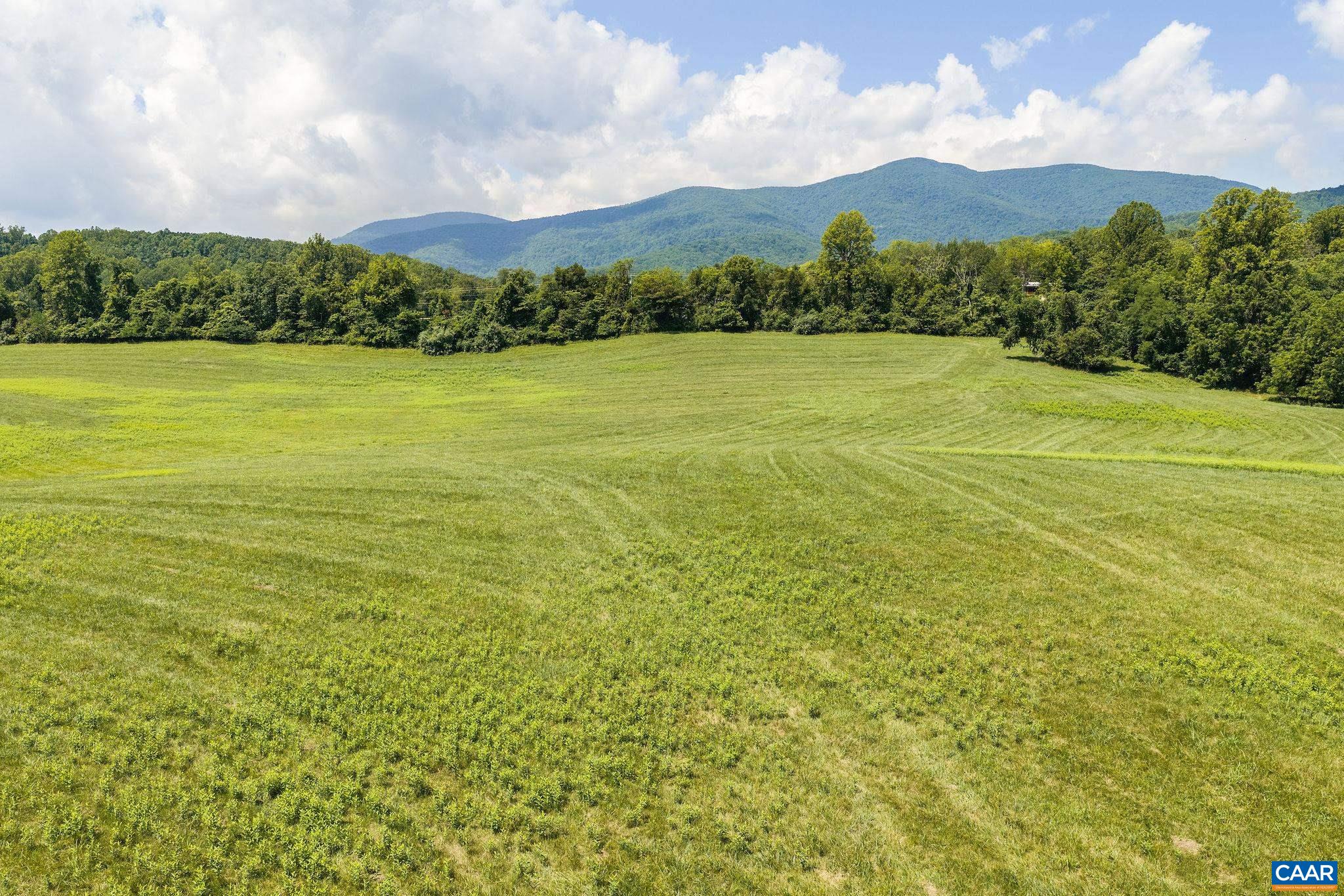 158 acres ROCKFISH VALLEY HWY, AFTON, Virginia 22920, ,Farm,158 acres ROCKFISH VALLEY HWY,683488 MLS # 683488 158 acres ROCKFISH VALLEY HWY, AFTON, Virginia 22920, ,Farm,158 acres ROCKFISH VALLEY HWY,683488 MLS # 683488
