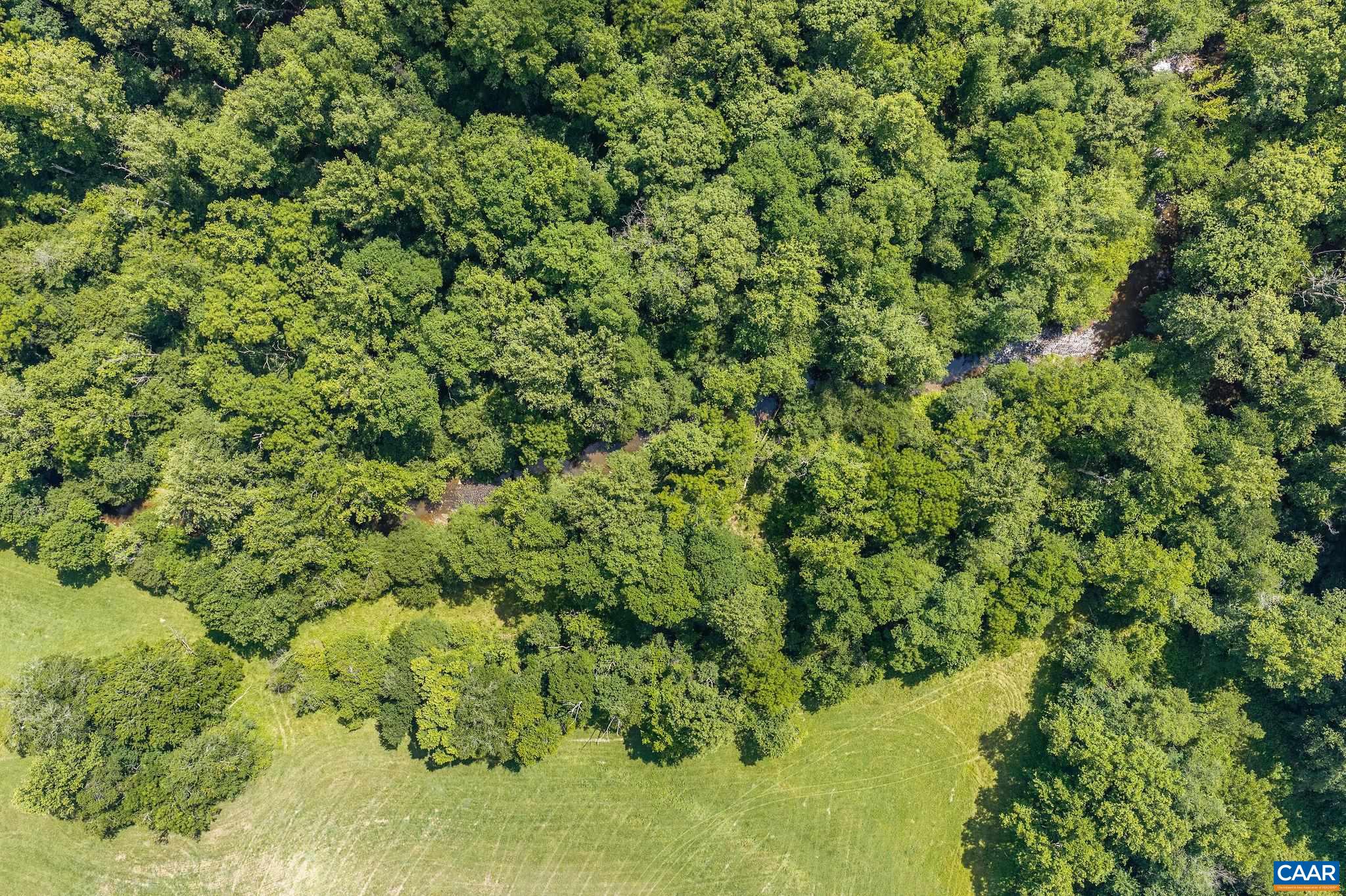 158 acres ROCKFISH VALLEY HWY, AFTON, Virginia 22920, ,Farm,158 acres ROCKFISH VALLEY HWY,683488 MLS # 683488 158 acres ROCKFISH VALLEY HWY, AFTON, Virginia 22920, ,Farm,158 acres ROCKFISH VALLEY HWY,683488 MLS # 683488