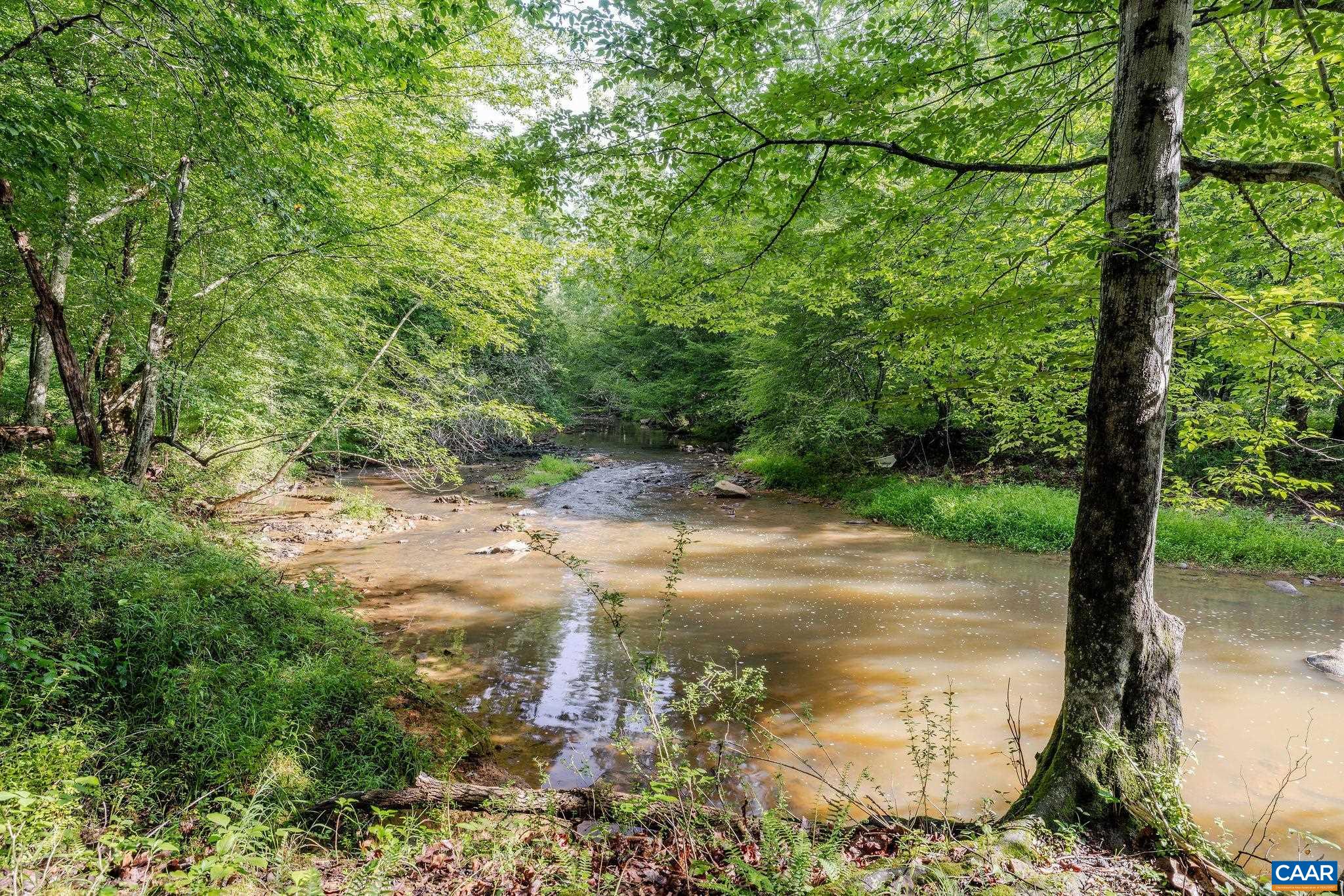 158 acres ROCKFISH VALLEY HWY, AFTON, Virginia 22920, ,Farm,158 acres ROCKFISH VALLEY HWY,683488 MLS # 683488 158 acres ROCKFISH VALLEY HWY, AFTON, Virginia 22920, ,Farm,158 acres ROCKFISH VALLEY HWY,683488 MLS # 683488