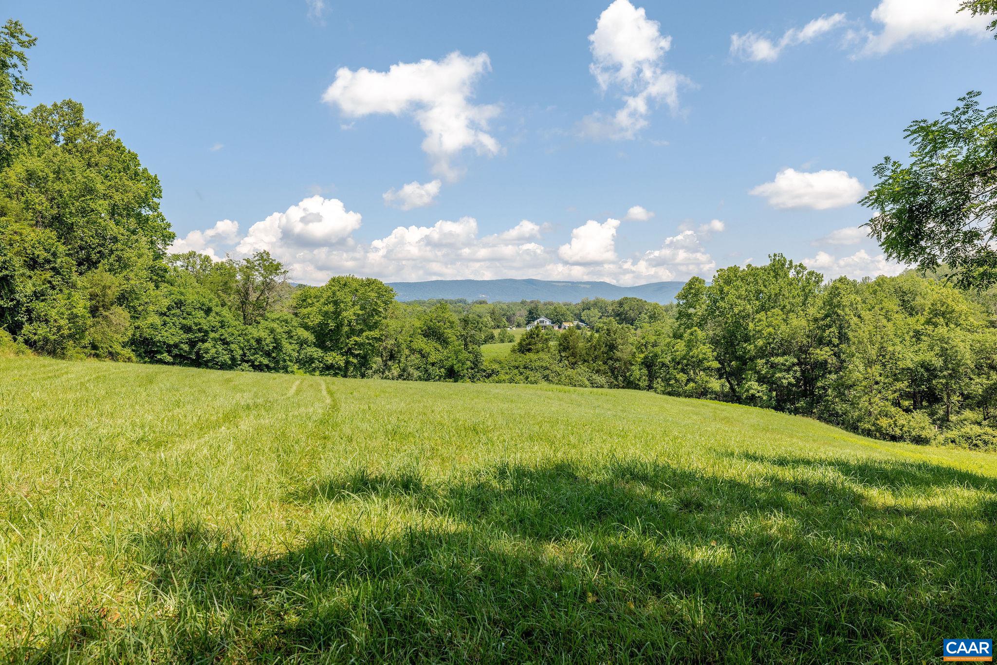 158 acres ROCKFISH VALLEY HWY, AFTON, Virginia 22920, ,Farm,158 acres ROCKFISH VALLEY HWY,683488 MLS # 683488 158 acres ROCKFISH VALLEY HWY, AFTON, Virginia 22920, ,Farm,158 acres ROCKFISH VALLEY HWY,683488 MLS # 683488