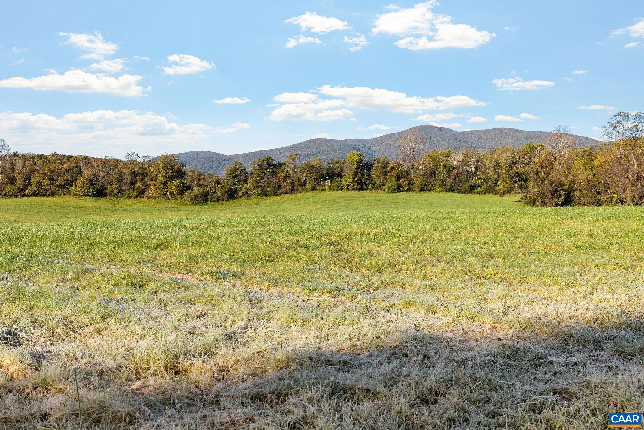 158 acres ROCKFISH VALLEY HWY, AFTON, Virginia 22920, ,Farm,158 acres ROCKFISH VALLEY HWY,683488 MLS # 683488 158 acres ROCKFISH VALLEY HWY, AFTON, Virginia 22920, ,Farm,158 acres ROCKFISH VALLEY HWY,683488 MLS # 683488