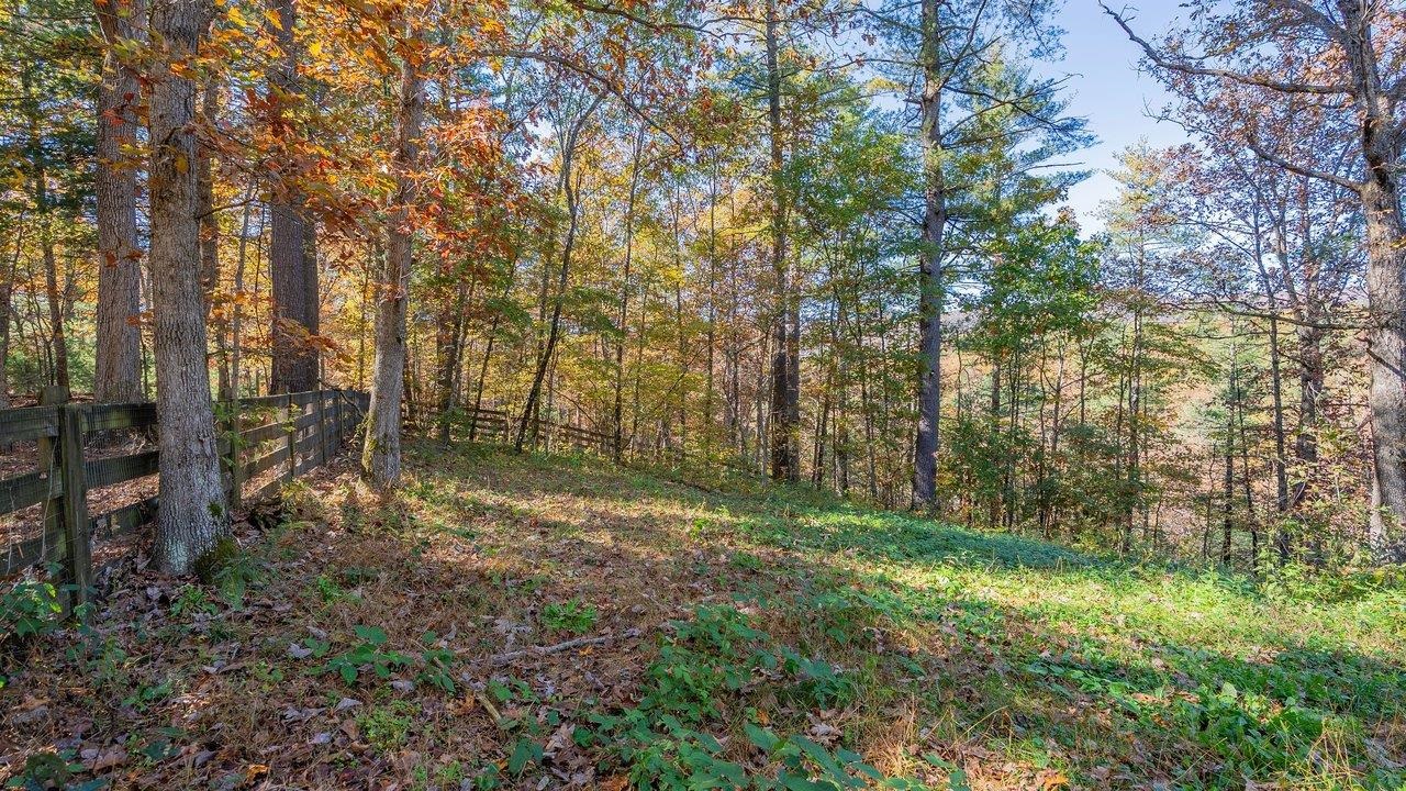 17853 SUNDANCE FOREST RD, BROADWAY, Virginia 22815, 3 Bedrooms Bedrooms, ,2 BathroomsBathrooms,Residential,17853 SUNDANCE FOREST RD,683472 MLS # 683472 17853 SUNDANCE FOREST RD, BROADWAY, Virginia 22815, 3 Bedrooms Bedrooms, ,2 BathroomsBathrooms,Residential,17853 SUNDANCE FOREST RD,683472 MLS # 683472