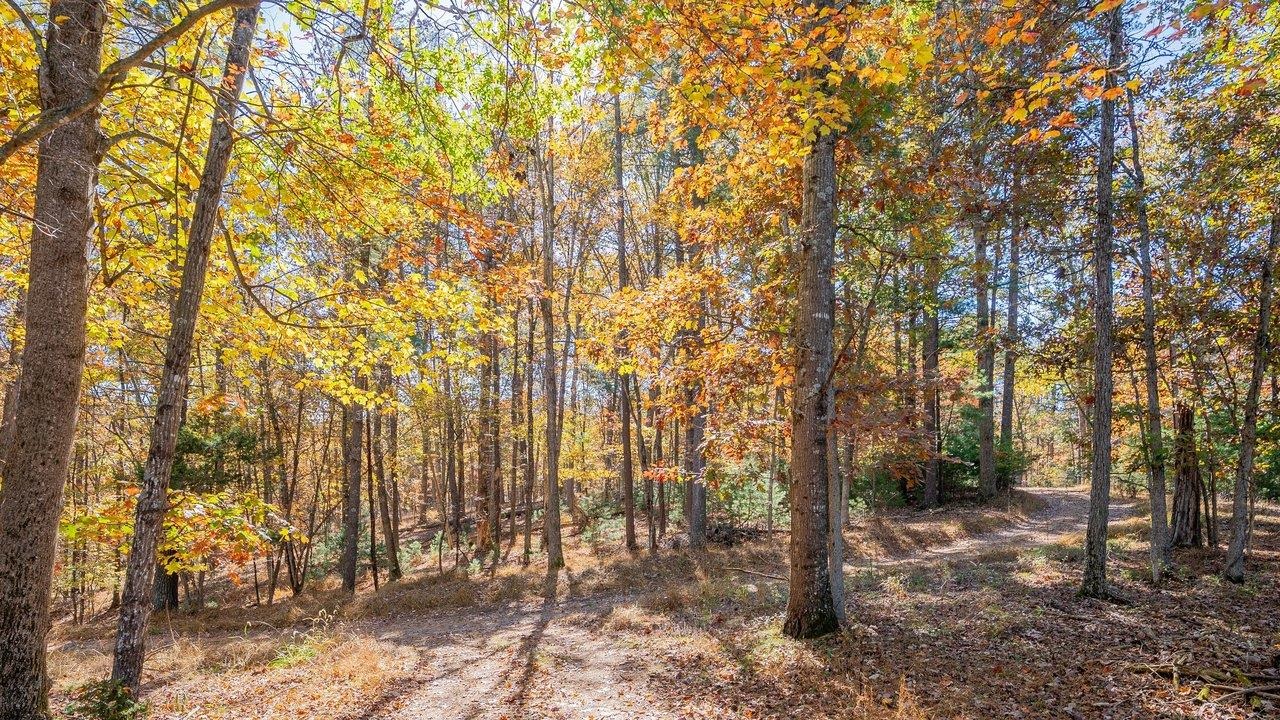 17853 SUNDANCE FOREST RD, BROADWAY, Virginia 22815, 3 Bedrooms Bedrooms, ,2 BathroomsBathrooms,Residential,17853 SUNDANCE FOREST RD,683472 MLS # 683472 17853 SUNDANCE FOREST RD, BROADWAY, Virginia 22815, 3 Bedrooms Bedrooms, ,2 BathroomsBathrooms,Residential,17853 SUNDANCE FOREST RD,683472 MLS # 683472