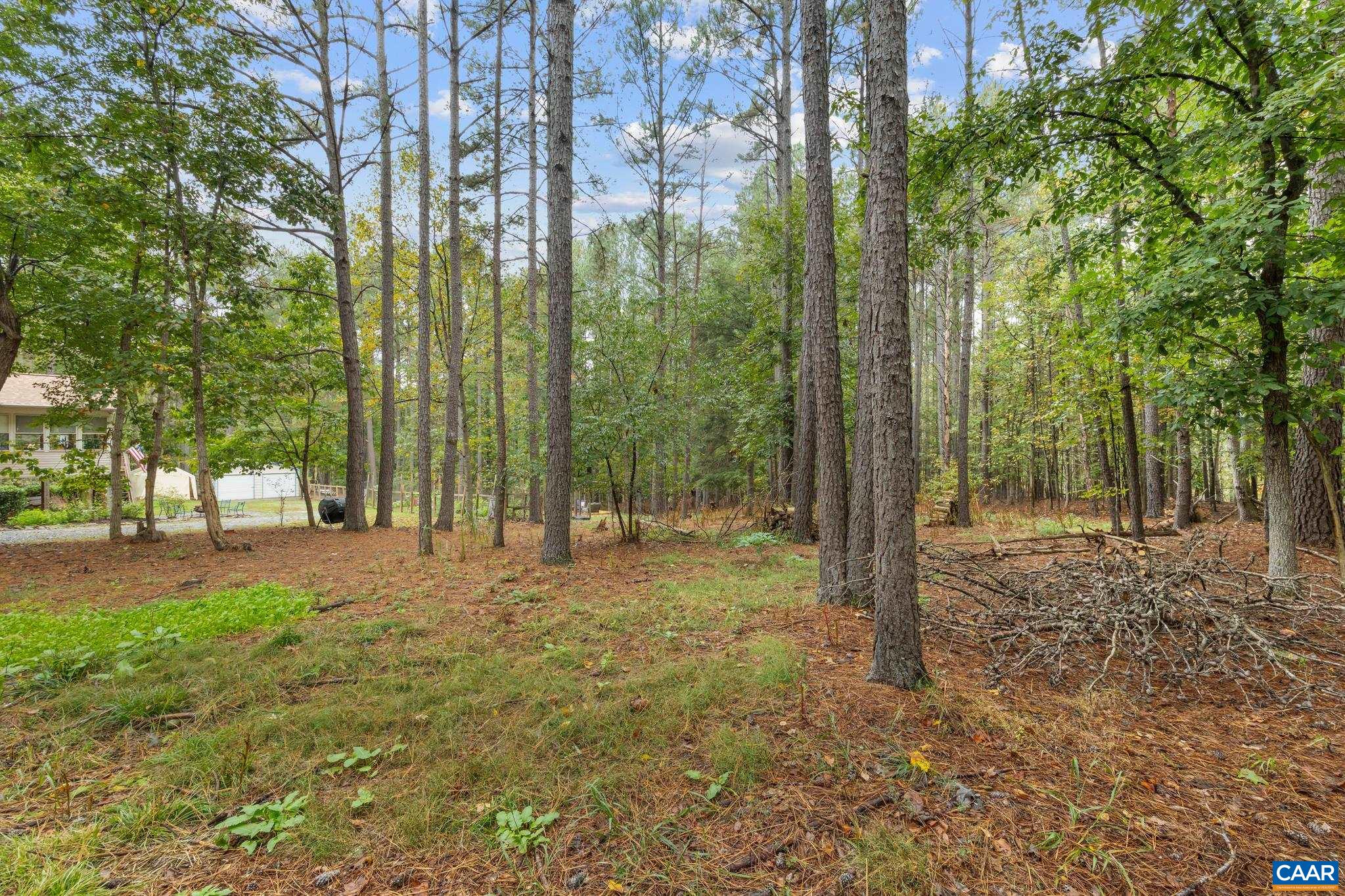3611 UNION MILLS RD, TROY, Virginia 22974, 4 Bedrooms Bedrooms, ,3 BathroomsBathrooms,Residential,3611 UNION MILLS RD,683194 MLS # 683194