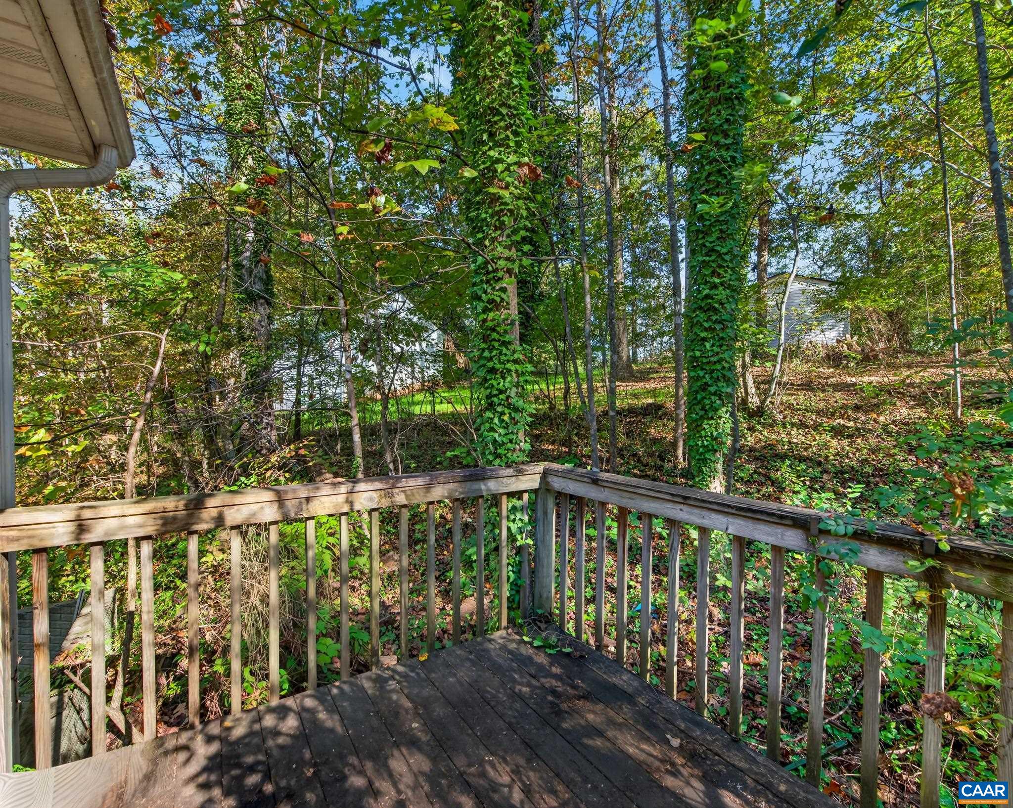 320 JONQUIL RD, RUCKERSVILLE, Virginia 22968, 3 Bedrooms Bedrooms, ,2 BathroomsBathrooms,Residential,320 JONQUIL RD,683426 MLS # 683426 320 JONQUIL RD, RUCKERSVILLE, Virginia 22968, 3 Bedrooms Bedrooms, ,2 BathroomsBathrooms,Residential,320 JONQUIL RD,683426 MLS # 683426