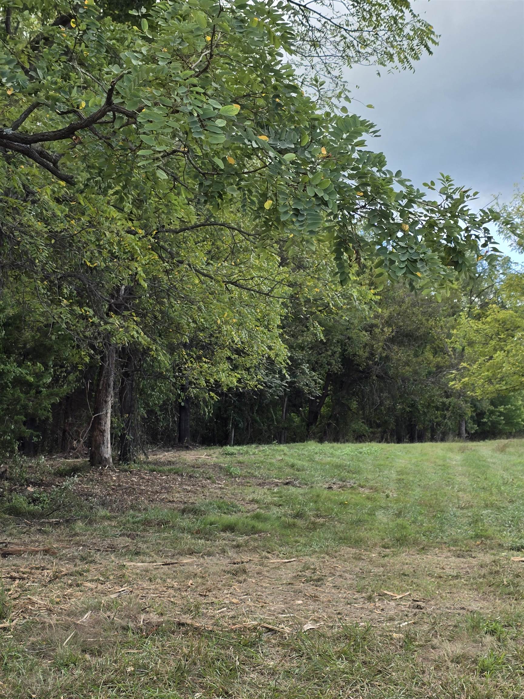 Lot 3 17.83 ac. BERRY FARM RD, STAUNTON, Virginia 24401, ,Land,2-homes permitted - Crown Ridge Estates Lot 3 17.8,Lot 3 17.83 ac. BERRY FARM RD,683524 MLS # 683524 Lot 3 17.83 ac. BERRY FARM RD, STAUNTON, Virginia 24401, ,Land,2-homes permitted - Crown Ridge Estates Lot 3 17.8,Lot 3 17.83 ac. BERRY FARM RD,683524 MLS # 683524