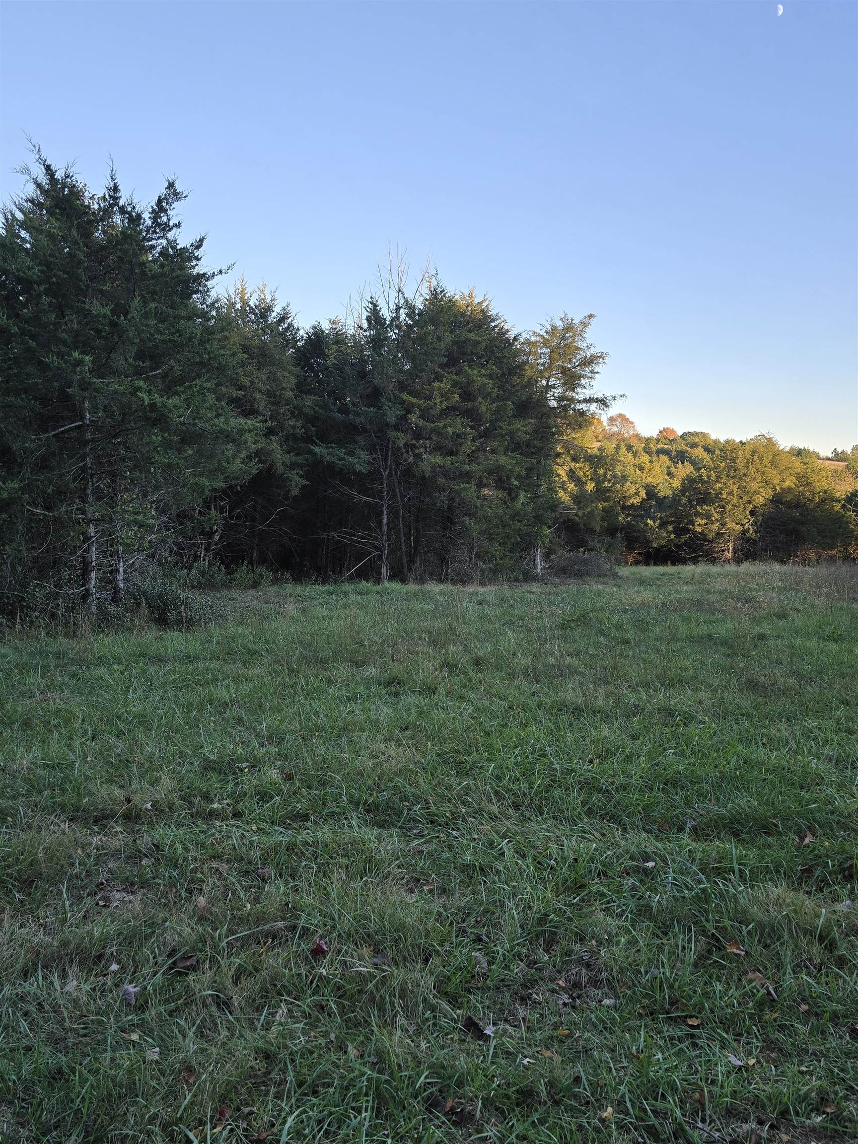Lot 3 17.83 ac. BERRY FARM RD, STAUNTON, Virginia 24401, ,Land,2-homes permitted - Crown Ridge Estates Lot 3 17.8,Lot 3 17.83 ac. BERRY FARM RD,683524 MLS # 683524 Lot 3 17.83 ac. BERRY FARM RD, STAUNTON, Virginia 24401, ,Land,2-homes permitted - Crown Ridge Estates Lot 3 17.8,Lot 3 17.83 ac. BERRY FARM RD,683524 MLS # 683524