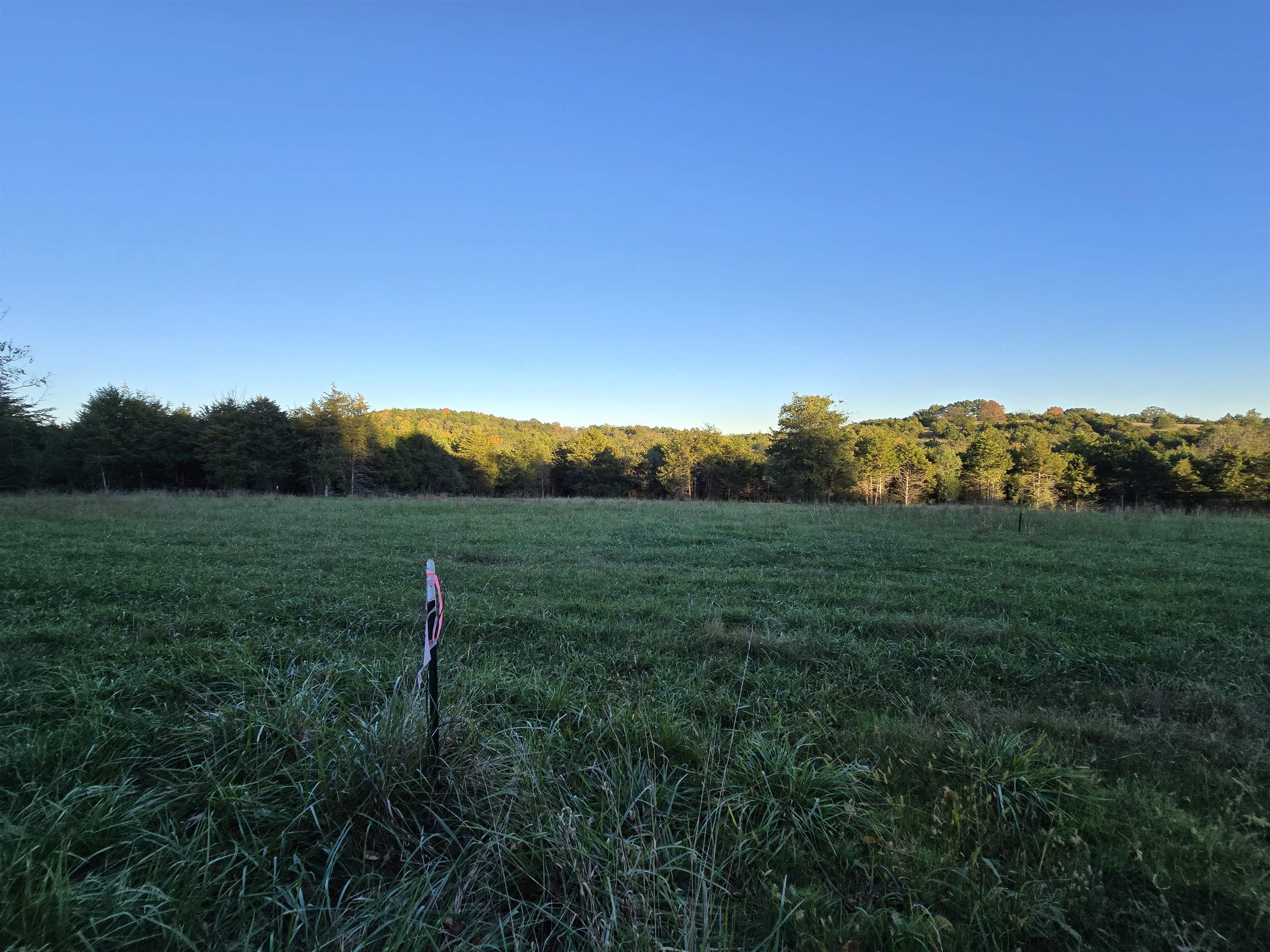 Lot 3 17.83 ac. BERRY FARM RD, STAUNTON, Virginia 24401, ,Land,2-homes permitted - Crown Ridge Estates Lot 3 17.8,Lot 3 17.83 ac. BERRY FARM RD,683524 MLS # 683524 Lot 3 17.83 ac. BERRY FARM RD, STAUNTON, Virginia 24401, ,Land,2-homes permitted - Crown Ridge Estates Lot 3 17.8,Lot 3 17.83 ac. BERRY FARM RD,683524 MLS # 683524