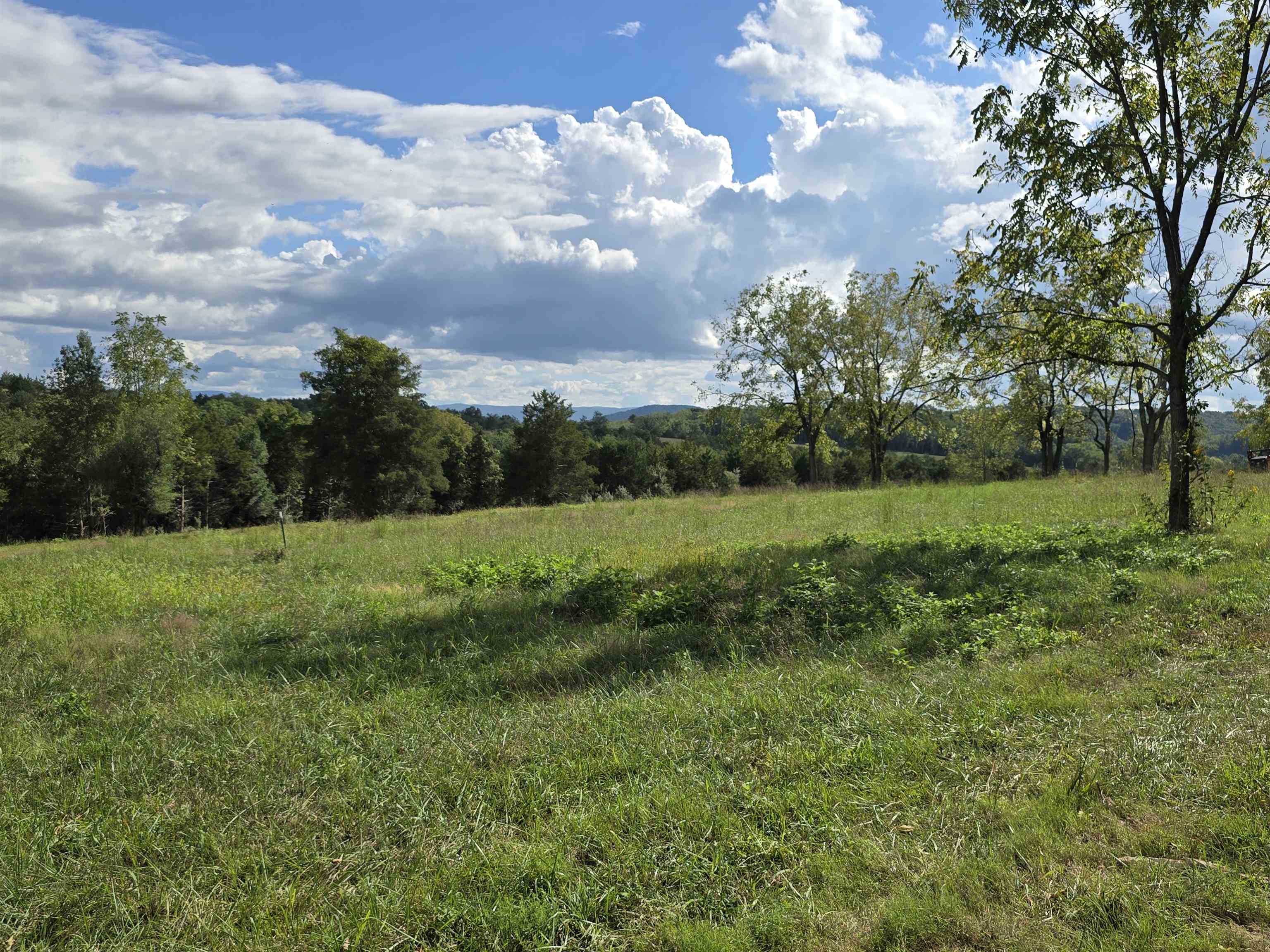 Lot 3 17.83 ac. BERRY FARM RD, STAUNTON, Virginia 24401, ,Land,2-homes permitted - Crown Ridge Estates Lot 3 17.8,Lot 3 17.83 ac. BERRY FARM RD,683524 MLS # 683524 Lot 3 17.83 ac. BERRY FARM RD, STAUNTON, Virginia 24401, ,Land,2-homes permitted - Crown Ridge Estates Lot 3 17.8,Lot 3 17.83 ac. BERRY FARM RD,683524 MLS # 683524