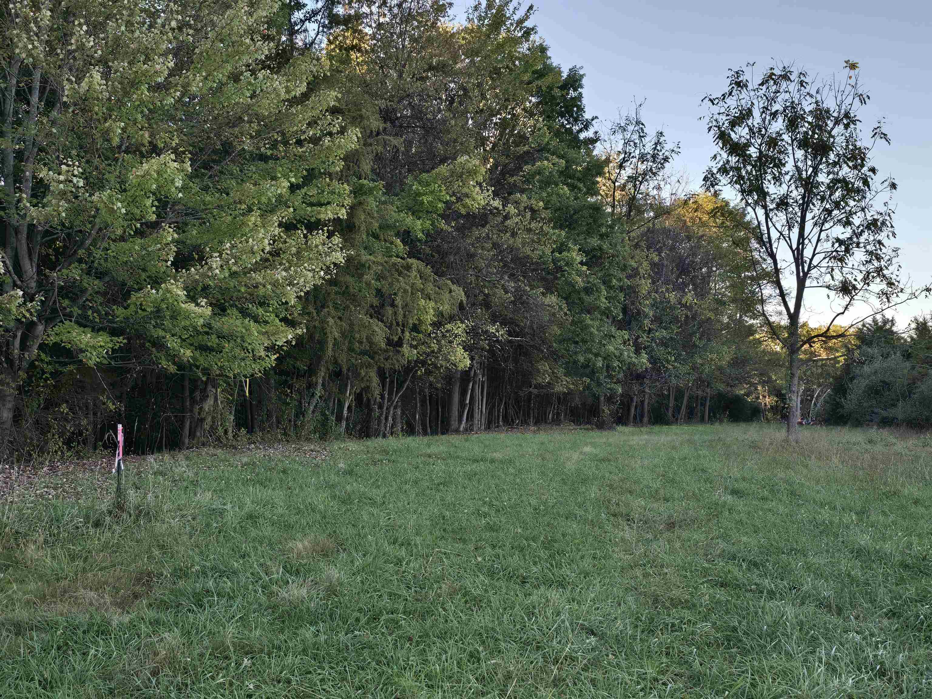 Lot 3 17.83 ac. BERRY FARM RD, STAUNTON, Virginia 24401, ,Land,2-homes permitted - Crown Ridge Estates Lot 3 17.8,Lot 3 17.83 ac. BERRY FARM RD,683524 MLS # 683524 Lot 3 17.83 ac. BERRY FARM RD, STAUNTON, Virginia 24401, ,Land,2-homes permitted - Crown Ridge Estates Lot 3 17.8,Lot 3 17.83 ac. BERRY FARM RD,683524 MLS # 683524