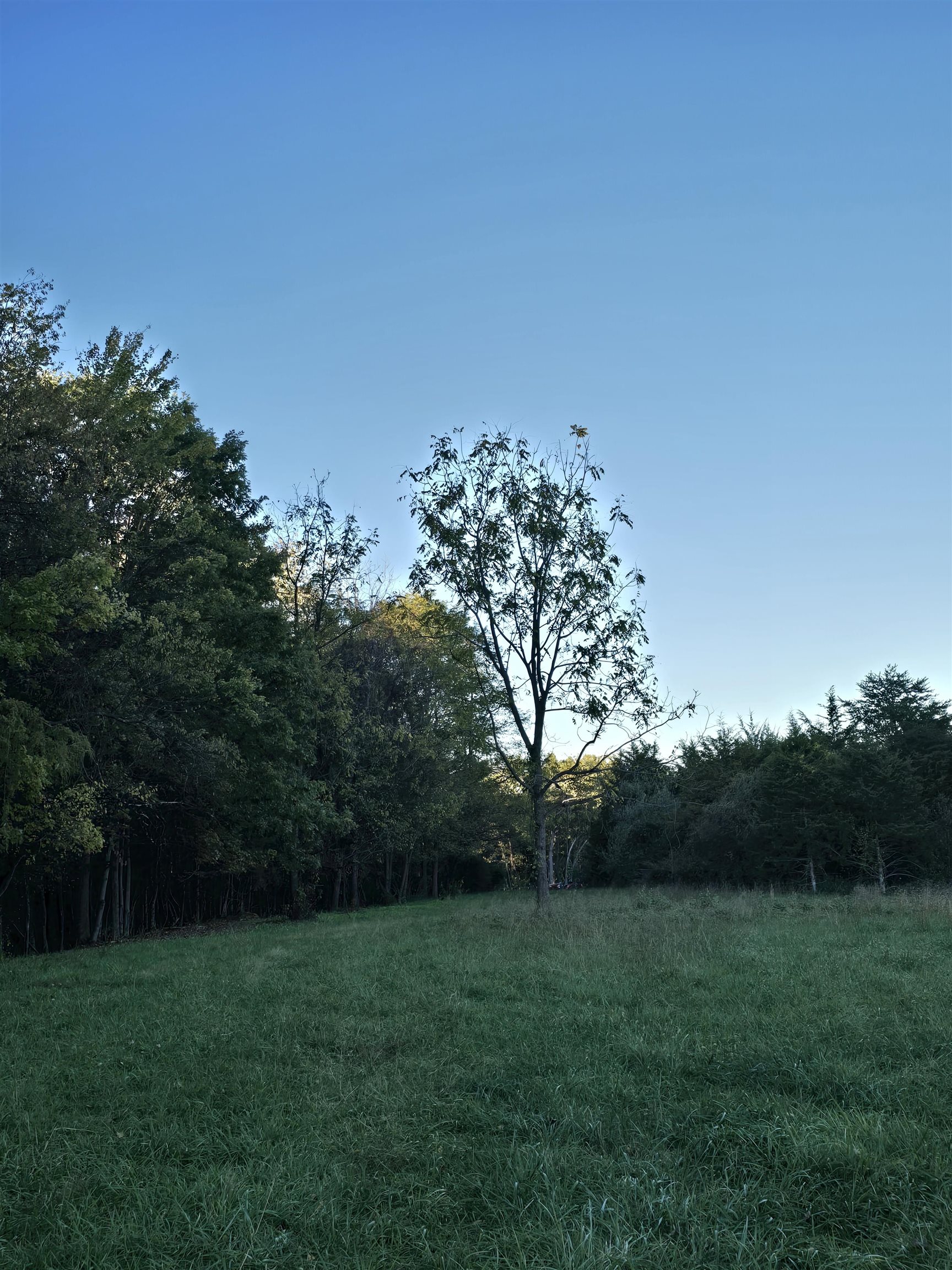 Lot 3 17.83 ac. BERRY FARM RD, STAUNTON, Virginia 24401, ,Land,2-homes permitted - Crown Ridge Estates Lot 3 17.8,Lot 3 17.83 ac. BERRY FARM RD,683524 MLS # 683524 Lot 3 17.83 ac. BERRY FARM RD, STAUNTON, Virginia 24401, ,Land,2-homes permitted - Crown Ridge Estates Lot 3 17.8,Lot 3 17.83 ac. BERRY FARM RD,683524 MLS # 683524