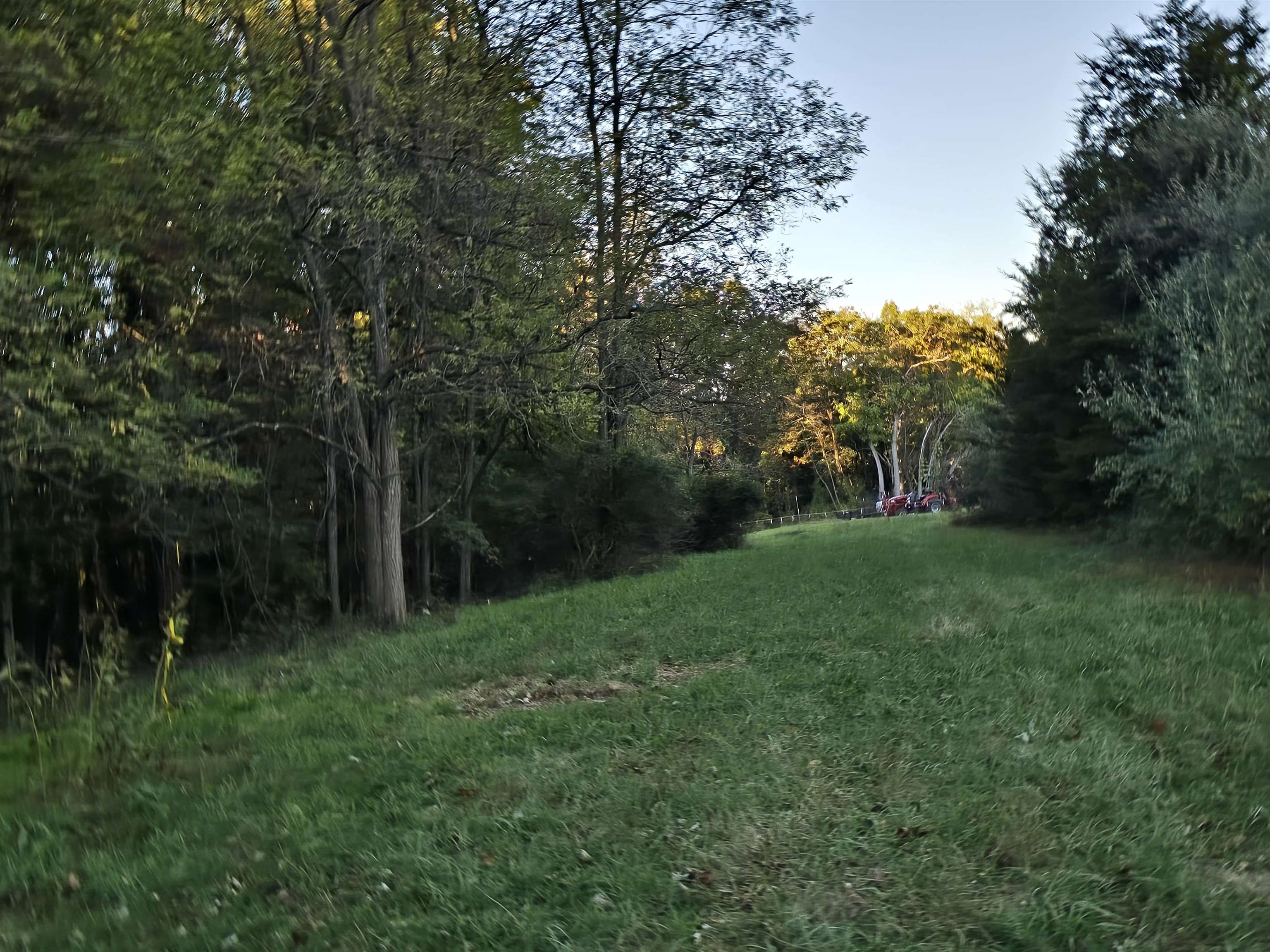 Lot 3 17.83 ac. BERRY FARM RD, STAUNTON, Virginia 24401, ,Land,2-homes permitted - Crown Ridge Estates Lot 3 17.8,Lot 3 17.83 ac. BERRY FARM RD,683524 MLS # 683524 Lot 3 17.83 ac. BERRY FARM RD, STAUNTON, Virginia 24401, ,Land,2-homes permitted - Crown Ridge Estates Lot 3 17.8,Lot 3 17.83 ac. BERRY FARM RD,683524 MLS # 683524