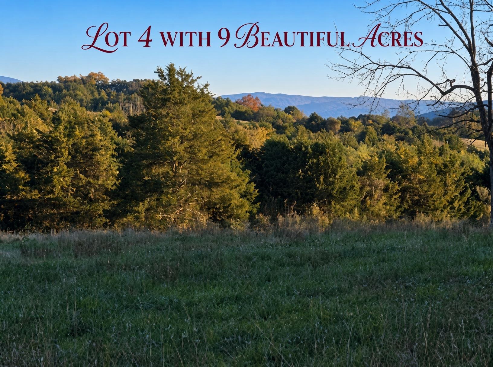 Lot 4 9acres BERRY FARM RD, STAUNTON, Virginia 24401, ,Land,The Premier Lot in Crown Ridge Estates,Lot 4 9acres BERRY FARM RD,683537 MLS # 683537 Lot 4 9acres BERRY FARM RD, STAUNTON, Virginia 24401, ,Land,The Premier Lot in Crown Ridge Estates,Lot 4 9acres BERRY FARM RD,683537 MLS # 683537