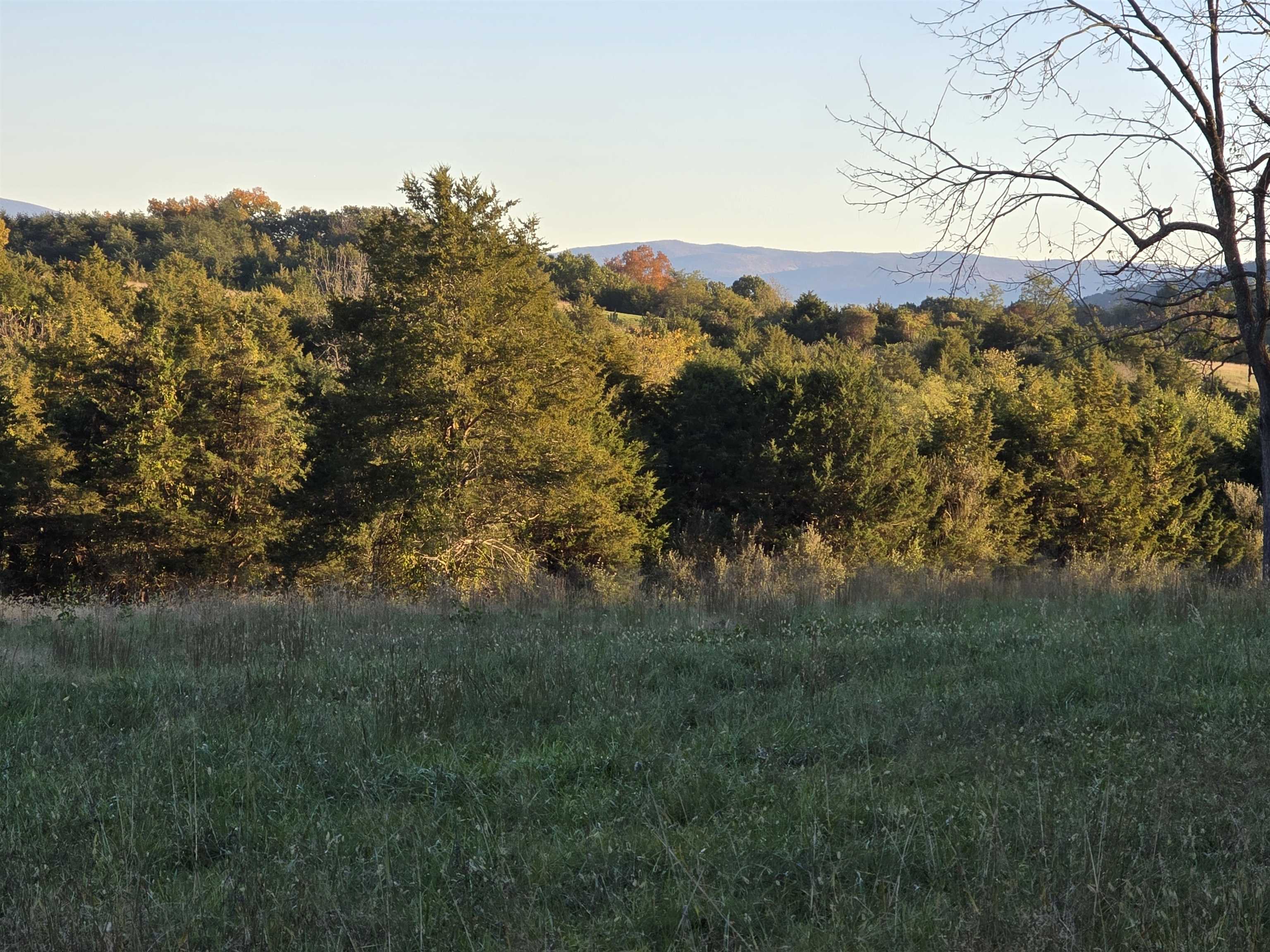 Lot 4 9acres BERRY FARM RD, STAUNTON, Virginia 24401, ,Land,The Premier Lot in Crown Ridge Estates,Lot 4 9acres BERRY FARM RD,683537 MLS # 683537 Lot 4 9acres BERRY FARM RD, STAUNTON, Virginia 24401, ,Land,The Premier Lot in Crown Ridge Estates,Lot 4 9acres BERRY FARM RD,683537 MLS # 683537