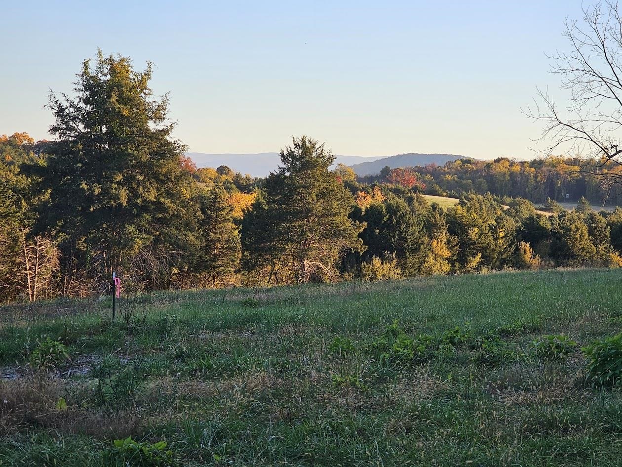 Lot 4 9acres BERRY FARM RD, STAUNTON, Virginia 24401, ,Land,The Premier Lot in Crown Ridge Estates,Lot 4 9acres BERRY FARM RD,683537 MLS # 683537 Lot 4 9acres BERRY FARM RD, STAUNTON, Virginia 24401, ,Land,The Premier Lot in Crown Ridge Estates,Lot 4 9acres BERRY FARM RD,683537 MLS # 683537