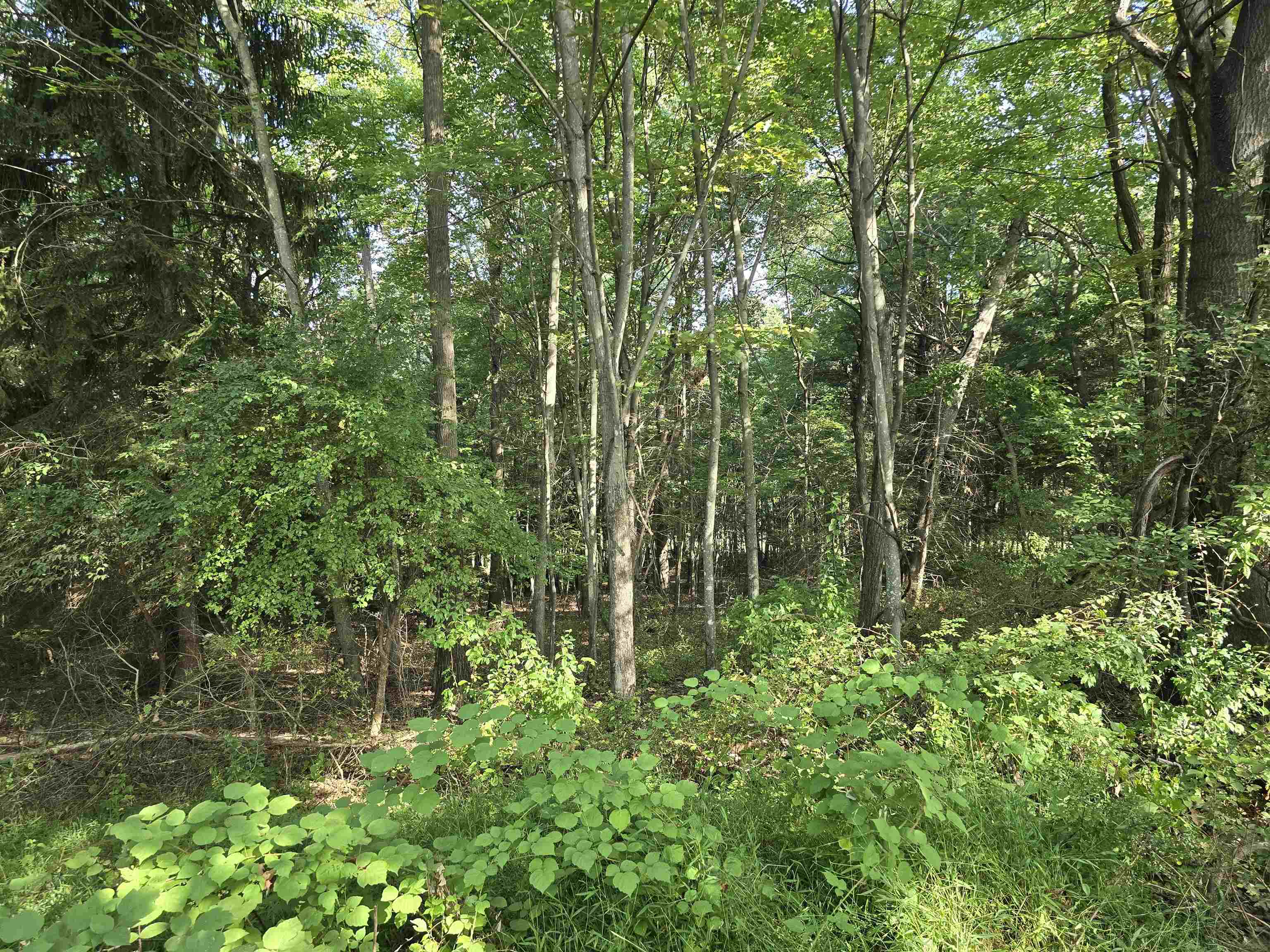 Lot 4 9acres BERRY FARM RD, STAUNTON, Virginia 24401, ,Land,The Premier Lot in Crown Ridge Estates,Lot 4 9acres BERRY FARM RD,683537 MLS # 683537 Lot 4 9acres BERRY FARM RD, STAUNTON, Virginia 24401, ,Land,The Premier Lot in Crown Ridge Estates,Lot 4 9acres BERRY FARM RD,683537 MLS # 683537