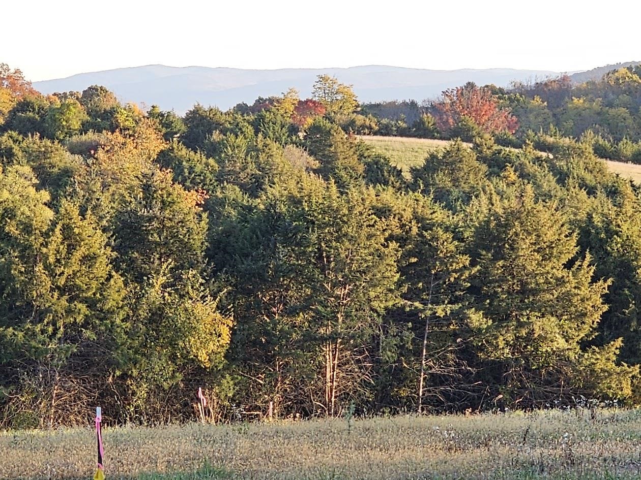 Lot 4 9acres BERRY FARM RD, STAUNTON, Virginia 24401, ,Land,The Premier Lot in Crown Ridge Estates,Lot 4 9acres BERRY FARM RD,683537 MLS # 683537 Lot 4 9acres BERRY FARM RD, STAUNTON, Virginia 24401, ,Land,The Premier Lot in Crown Ridge Estates,Lot 4 9acres BERRY FARM RD,683537 MLS # 683537