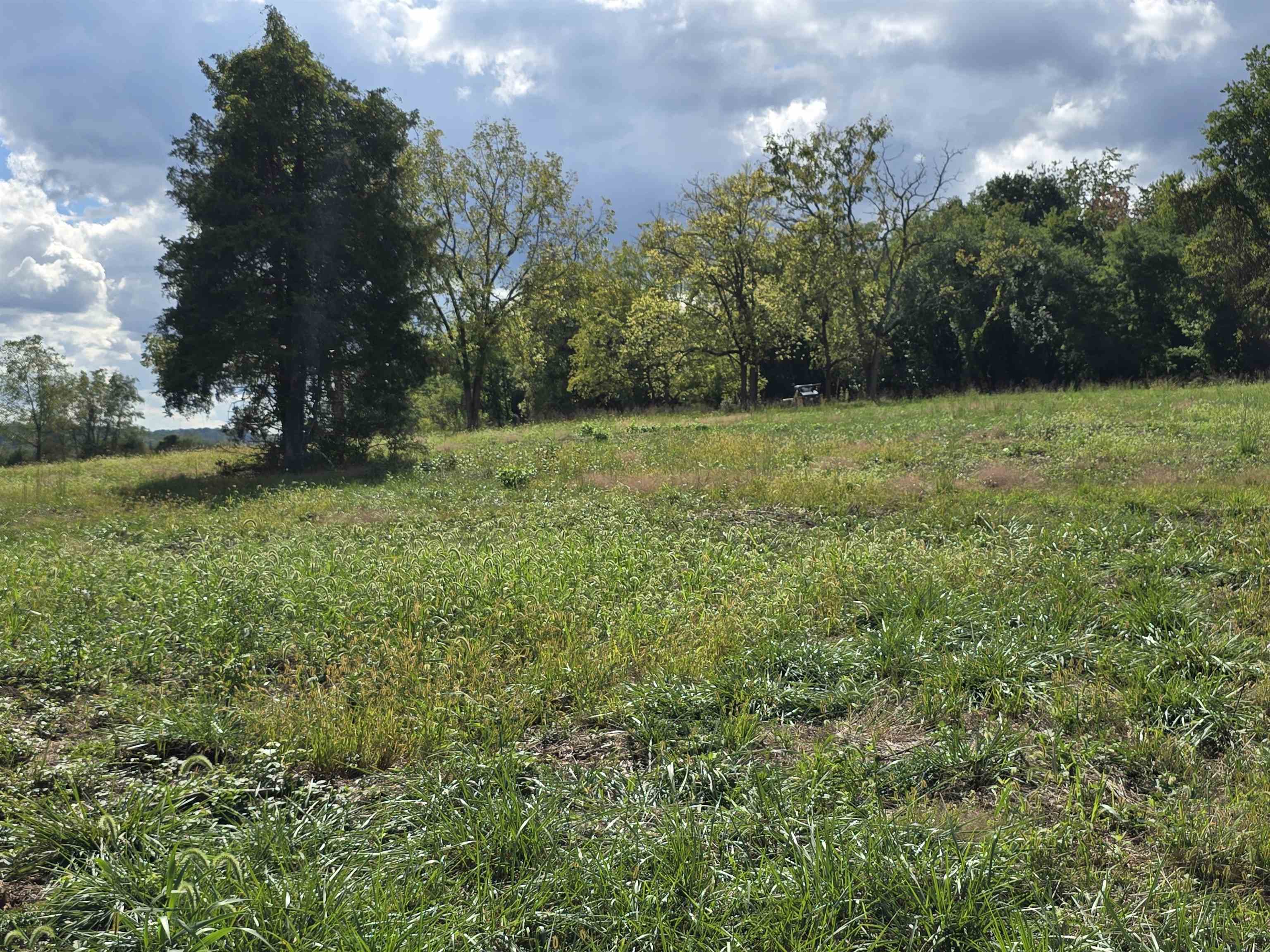 Lot 4 9acres BERRY FARM RD, STAUNTON, Virginia 24401, ,Land,The Premier Lot in Crown Ridge Estates,Lot 4 9acres BERRY FARM RD,683537 MLS # 683537 Lot 4 9acres BERRY FARM RD, STAUNTON, Virginia 24401, ,Land,The Premier Lot in Crown Ridge Estates,Lot 4 9acres BERRY FARM RD,683537 MLS # 683537