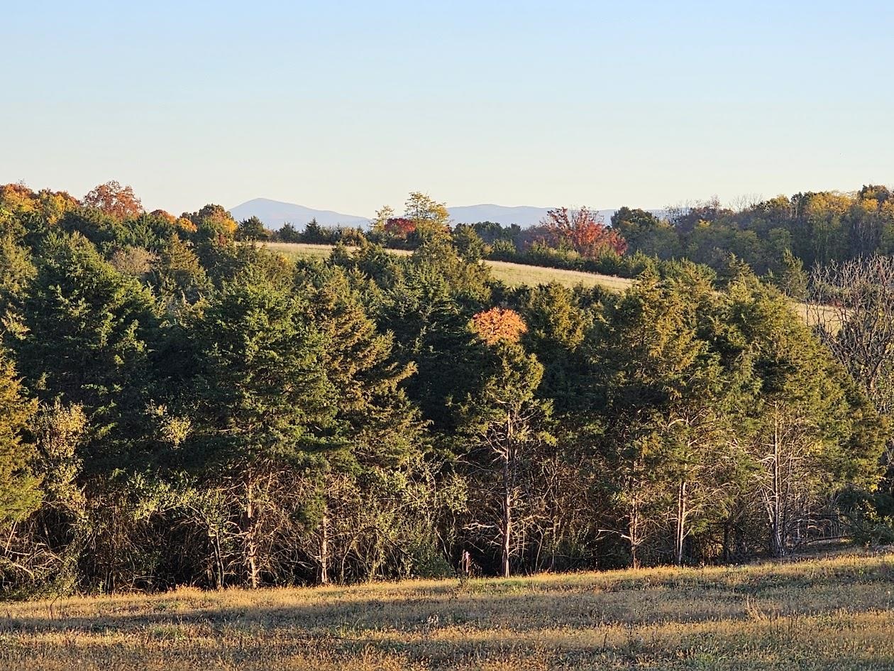 Lot 4 9acres BERRY FARM RD, STAUNTON, Virginia 24401, ,Land,The Premier Lot in Crown Ridge Estates,Lot 4 9acres BERRY FARM RD,683537 MLS # 683537 Lot 4 9acres BERRY FARM RD, STAUNTON, Virginia 24401, ,Land,The Premier Lot in Crown Ridge Estates,Lot 4 9acres BERRY FARM RD,683537 MLS # 683537