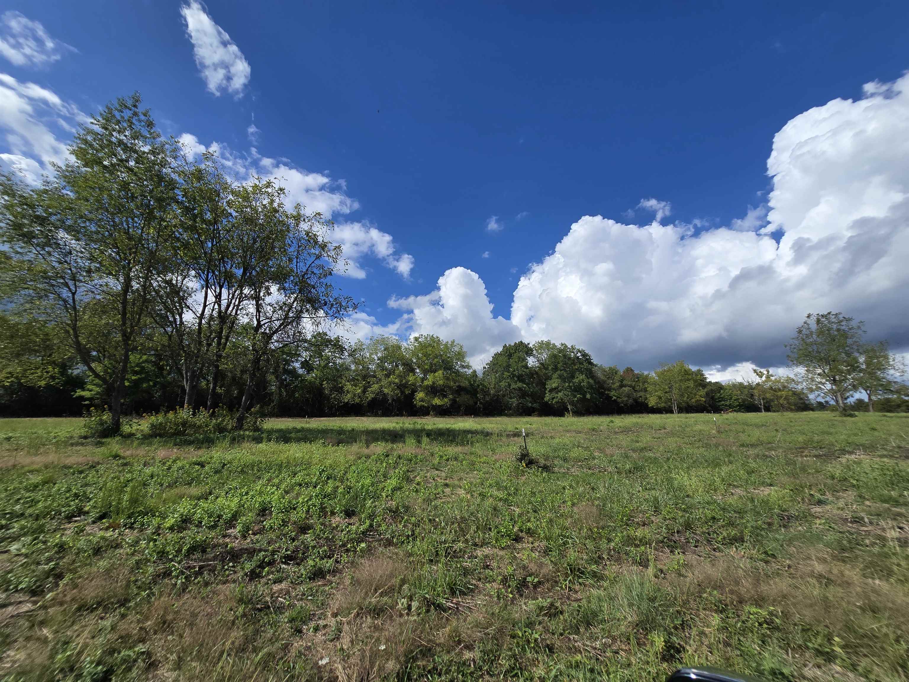 Lot 4 9acres BERRY FARM RD, STAUNTON, Virginia 24401, ,Land,The Premier Lot in Crown Ridge Estates,Lot 4 9acres BERRY FARM RD,683537 MLS # 683537 Lot 4 9acres BERRY FARM RD, STAUNTON, Virginia 24401, ,Land,The Premier Lot in Crown Ridge Estates,Lot 4 9acres BERRY FARM RD,683537 MLS # 683537
