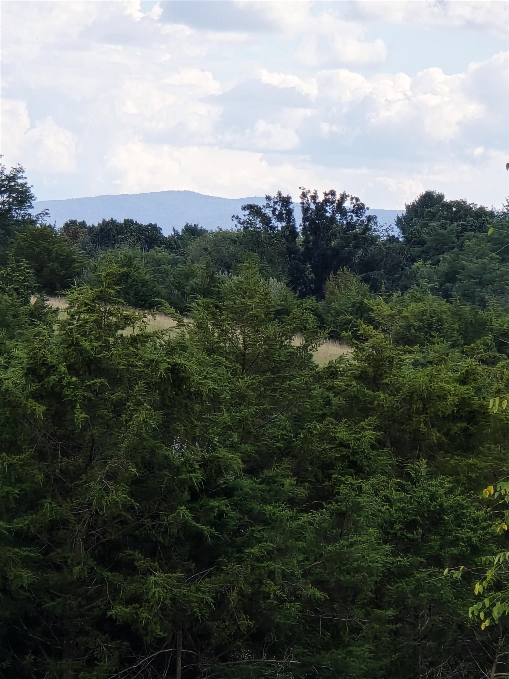 Lot 4 9acres BERRY FARM RD, STAUNTON, Virginia 24401, ,Land,The Premier Lot in Crown Ridge Estates,Lot 4 9acres BERRY FARM RD,683537 MLS # 683537 Lot 4 9acres BERRY FARM RD, STAUNTON, Virginia 24401, ,Land,The Premier Lot in Crown Ridge Estates,Lot 4 9acres BERRY FARM RD,683537 MLS # 683537