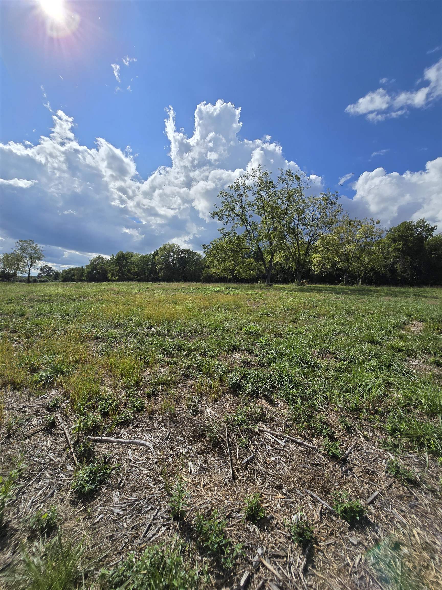 Lot 4 9acres BERRY FARM RD, STAUNTON, Virginia 24401, ,Land,The Premier Lot in Crown Ridge Estates,Lot 4 9acres BERRY FARM RD,683537 MLS # 683537 Lot 4 9acres BERRY FARM RD, STAUNTON, Virginia 24401, ,Land,The Premier Lot in Crown Ridge Estates,Lot 4 9acres BERRY FARM RD,683537 MLS # 683537