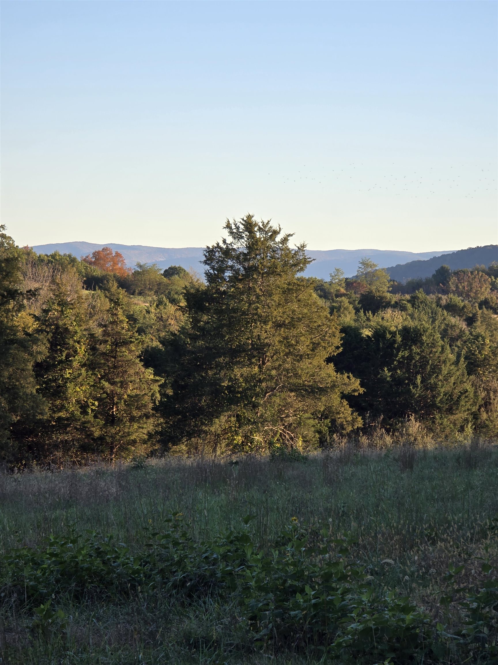 Lot 4 9acres BERRY FARM RD, STAUNTON, Virginia 24401, ,Land,The Premier Lot in Crown Ridge Estates,Lot 4 9acres BERRY FARM RD,683537 MLS # 683537 Lot 4 9acres BERRY FARM RD, STAUNTON, Virginia 24401, ,Land,The Premier Lot in Crown Ridge Estates,Lot 4 9acres BERRY FARM RD,683537 MLS # 683537