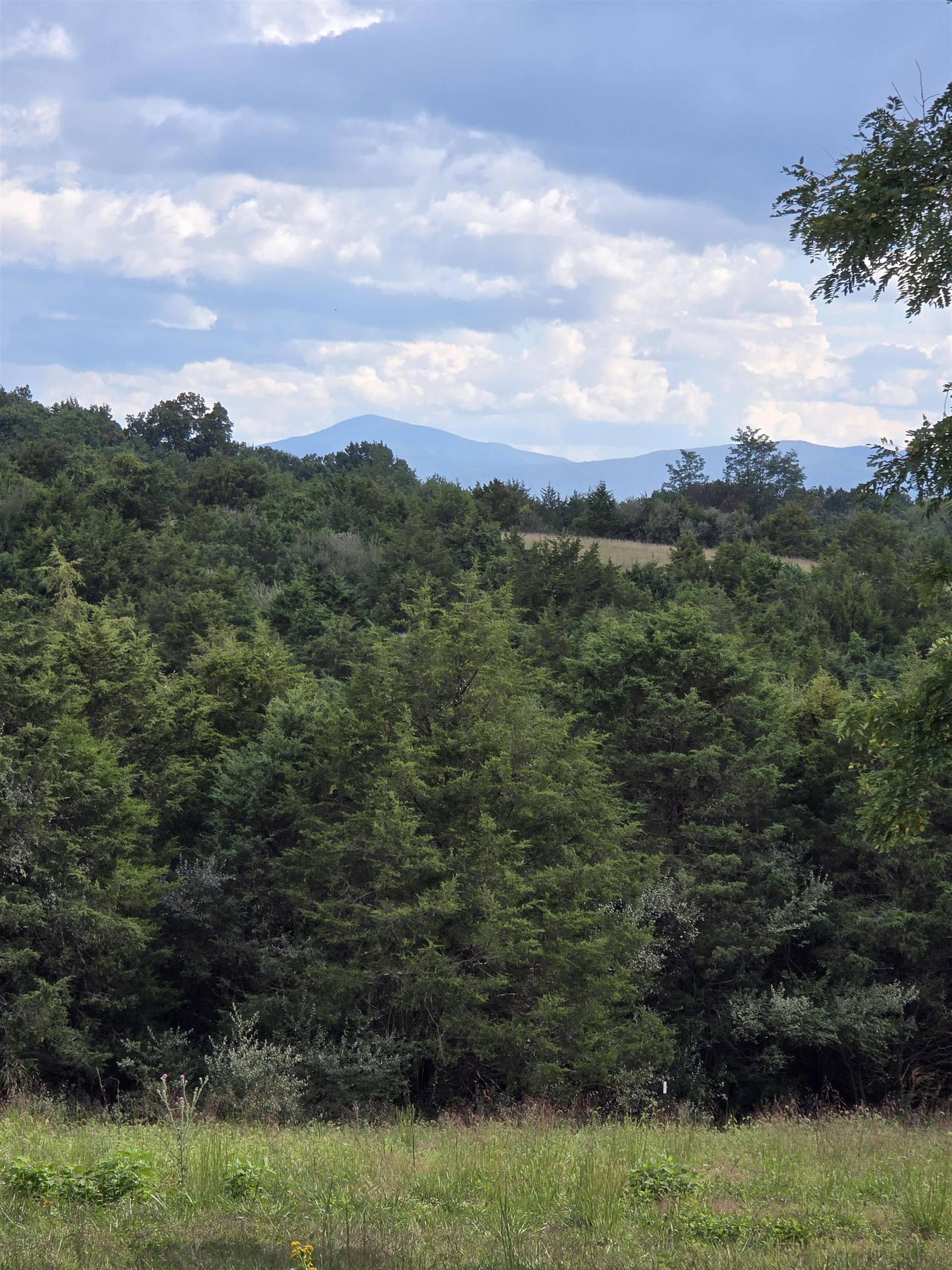 Lot 4 9acres BERRY FARM RD, STAUNTON, Virginia 24401, ,Land,The Premier Lot in Crown Ridge Estates,Lot 4 9acres BERRY FARM RD,683537 MLS # 683537 Lot 4 9acres BERRY FARM RD, STAUNTON, Virginia 24401, ,Land,The Premier Lot in Crown Ridge Estates,Lot 4 9acres BERRY FARM RD,683537 MLS # 683537