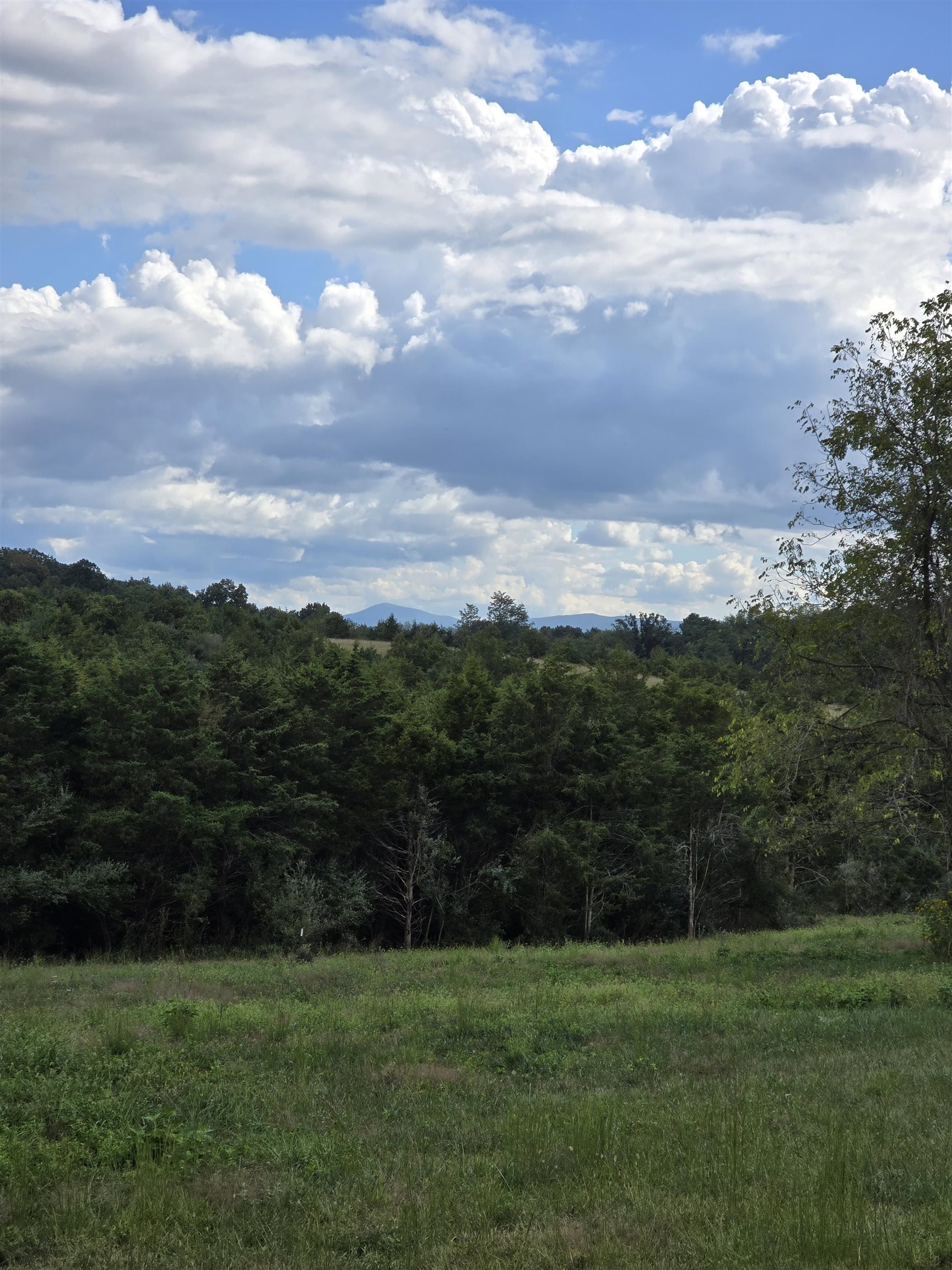 Lot 4 9acres BERRY FARM RD, STAUNTON, Virginia 24401, ,Land,The Premier Lot in Crown Ridge Estates,Lot 4 9acres BERRY FARM RD,683537 MLS # 683537 Lot 4 9acres BERRY FARM RD, STAUNTON, Virginia 24401, ,Land,The Premier Lot in Crown Ridge Estates,Lot 4 9acres BERRY FARM RD,683537 MLS # 683537